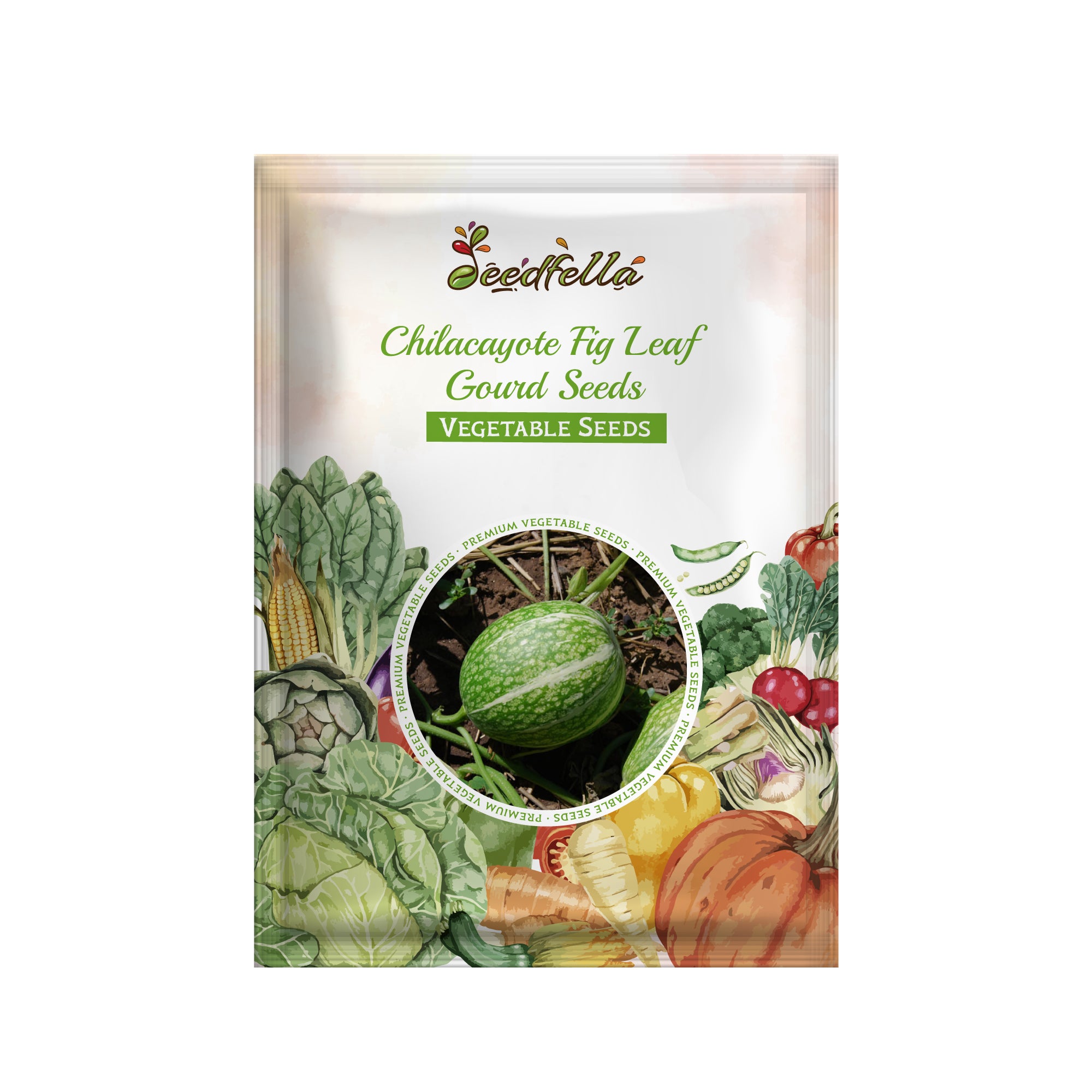 Chilacayote seeds for easy planting