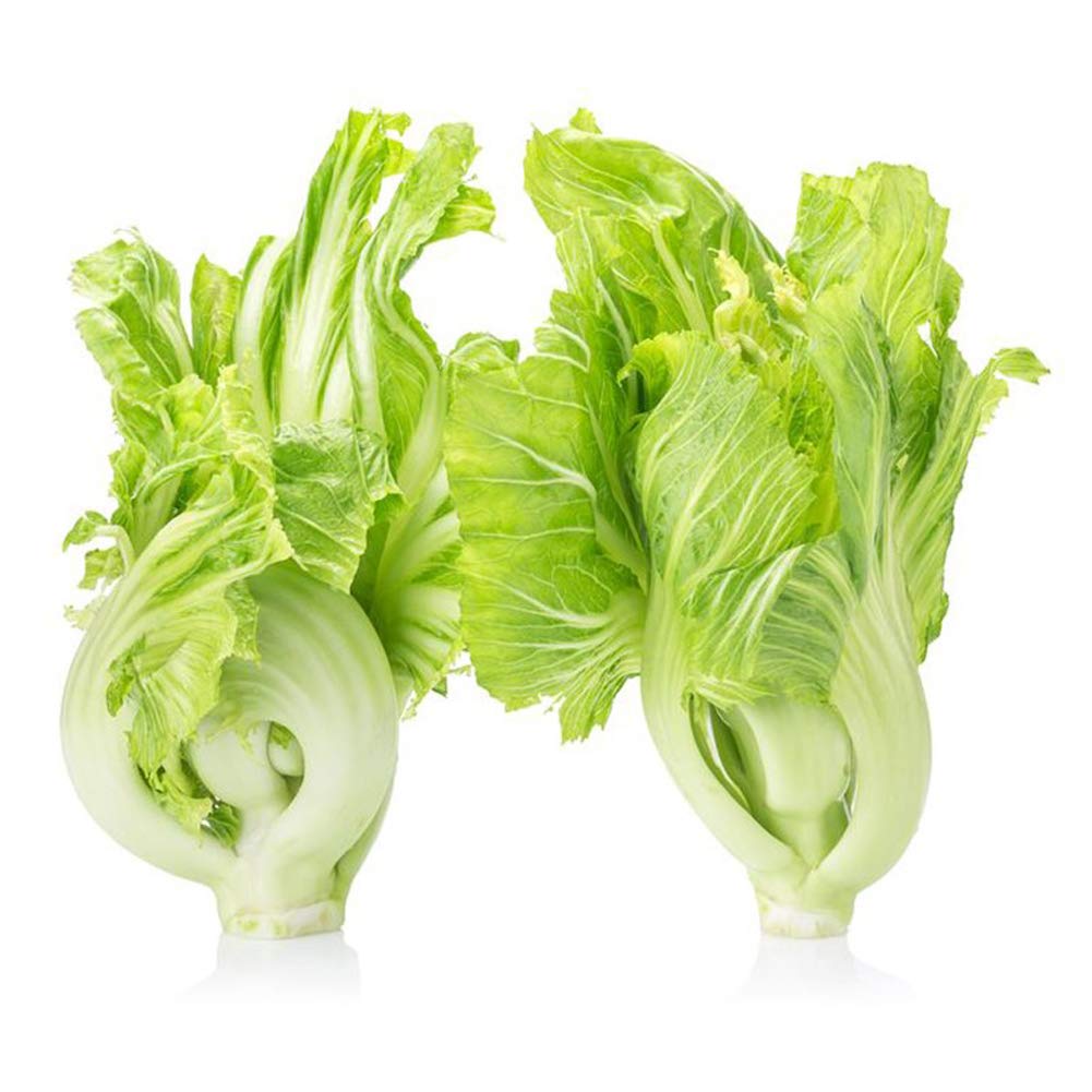 Chinese Mustard seeds Brassica juncea ornamental herb