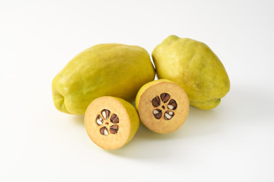 Chinese Quince Seeds Chaenomeles sinensis thornless fruit tree