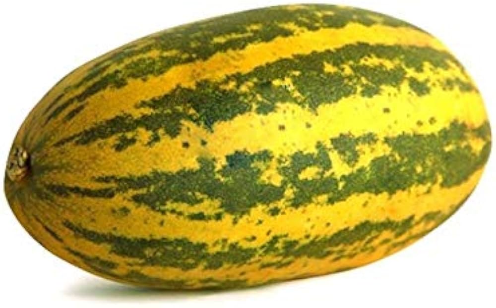 Chinese Yellow Cucumber Seeds rare heirloom cucumber seeds