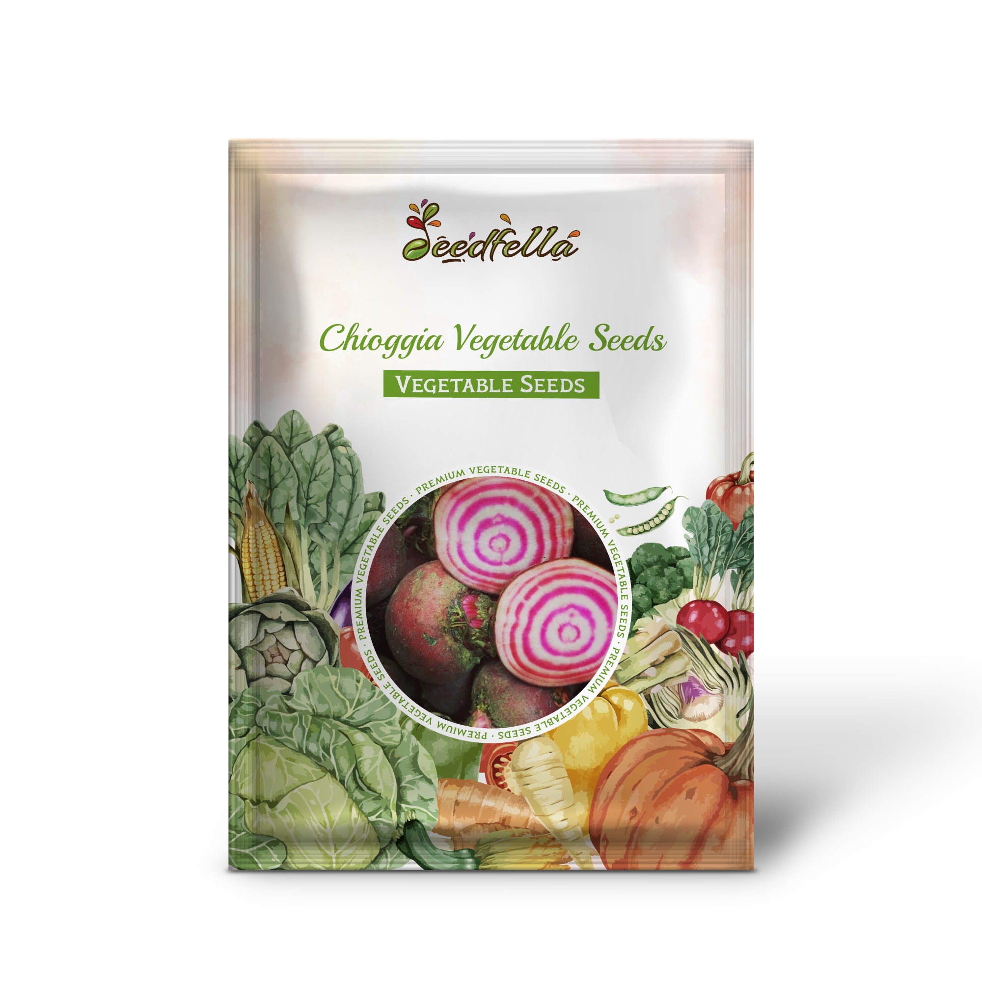 Chioggia Beet plant growing in garden