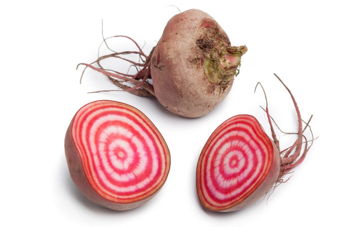 Chioggia Beet seeds for home garden planting, non-GMO