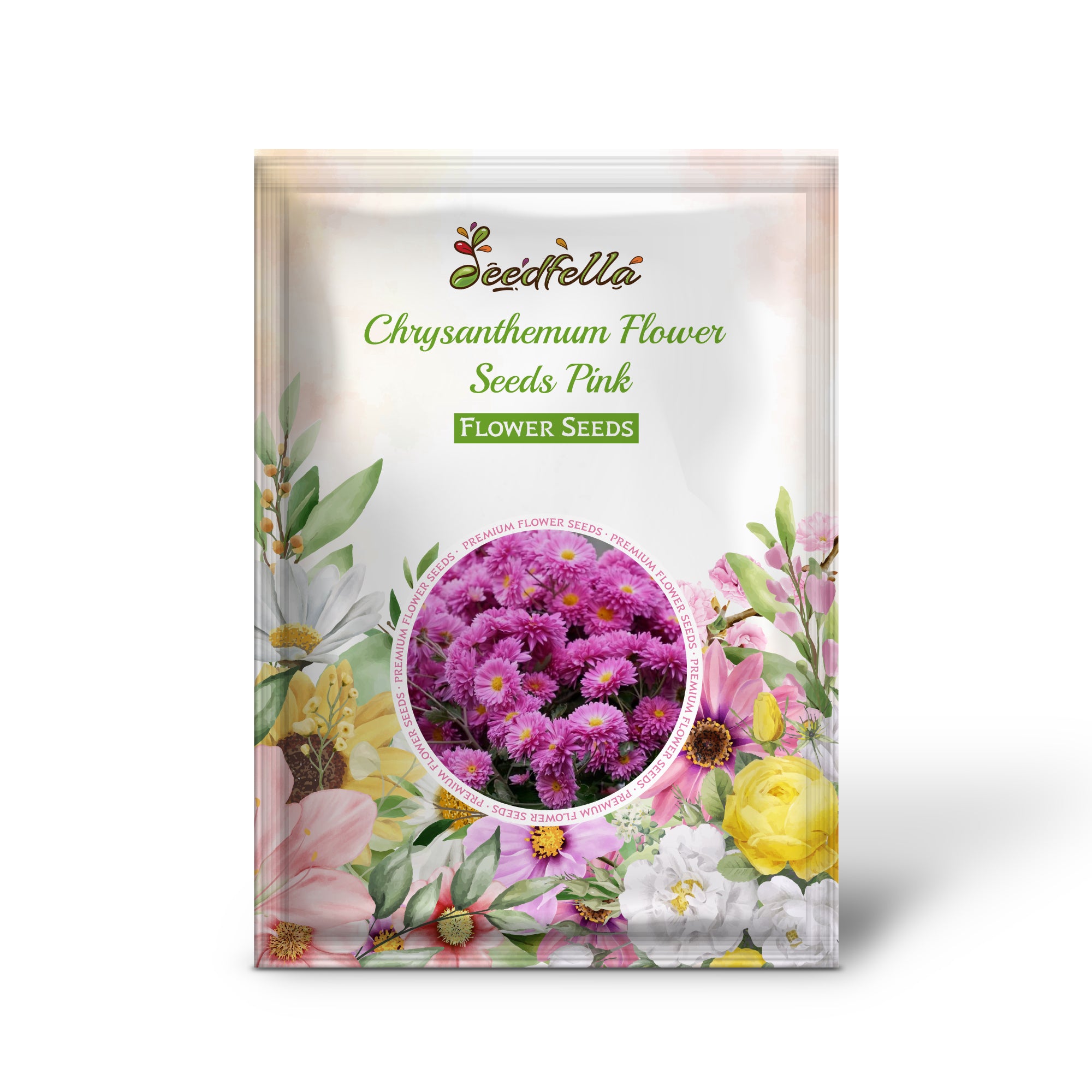Chrysanthemum Flower Seeds for vibrant home gardens