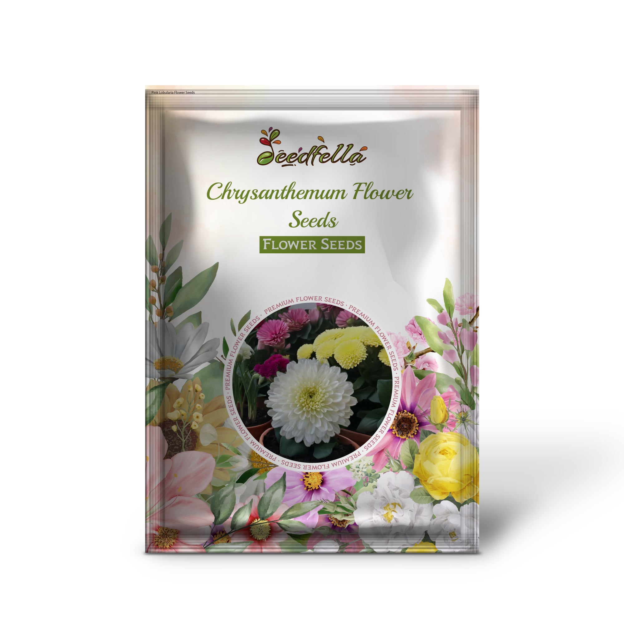 Chrysanthemum Seeds For Planting