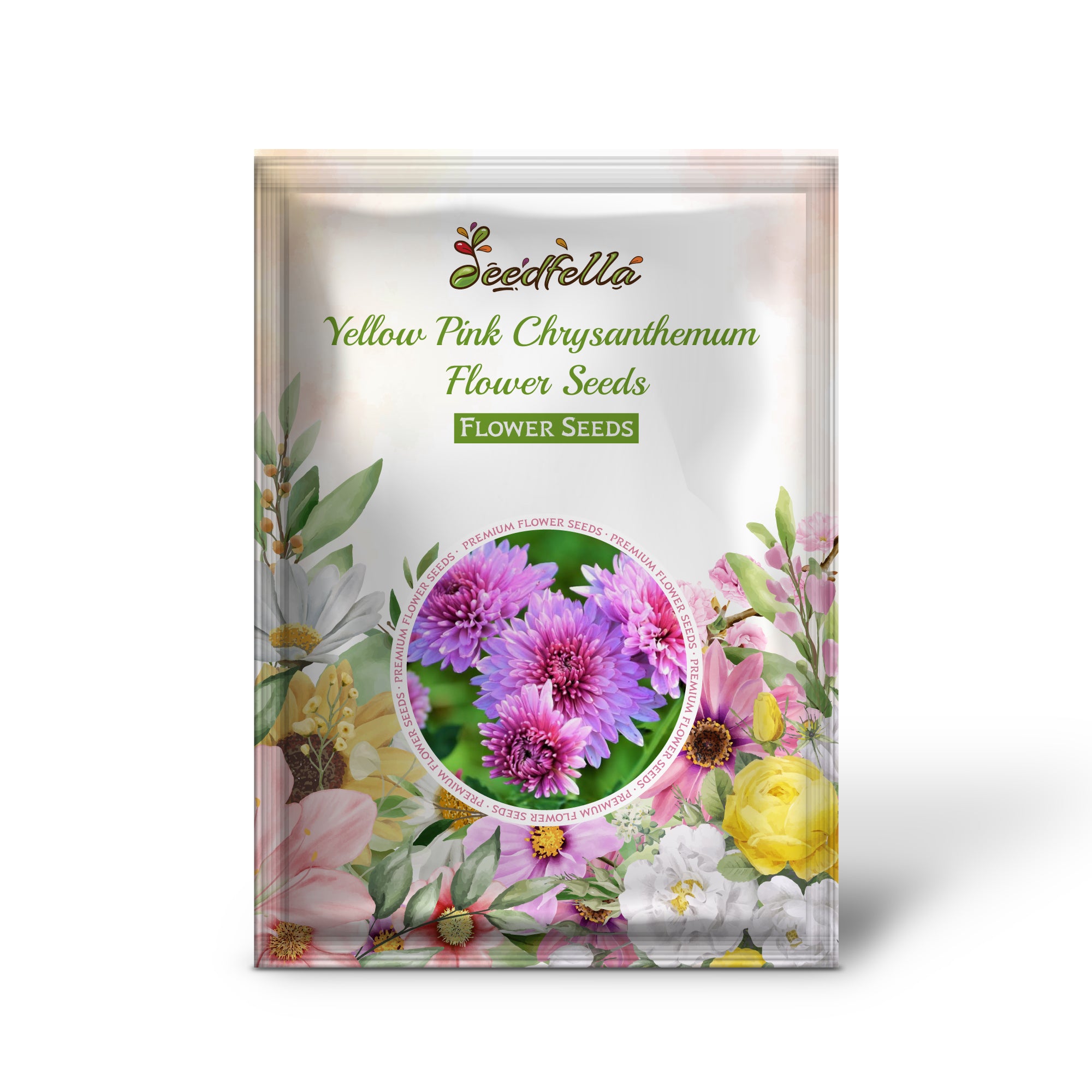 Chrysanthemum Yellow Pink Seeds For Planting