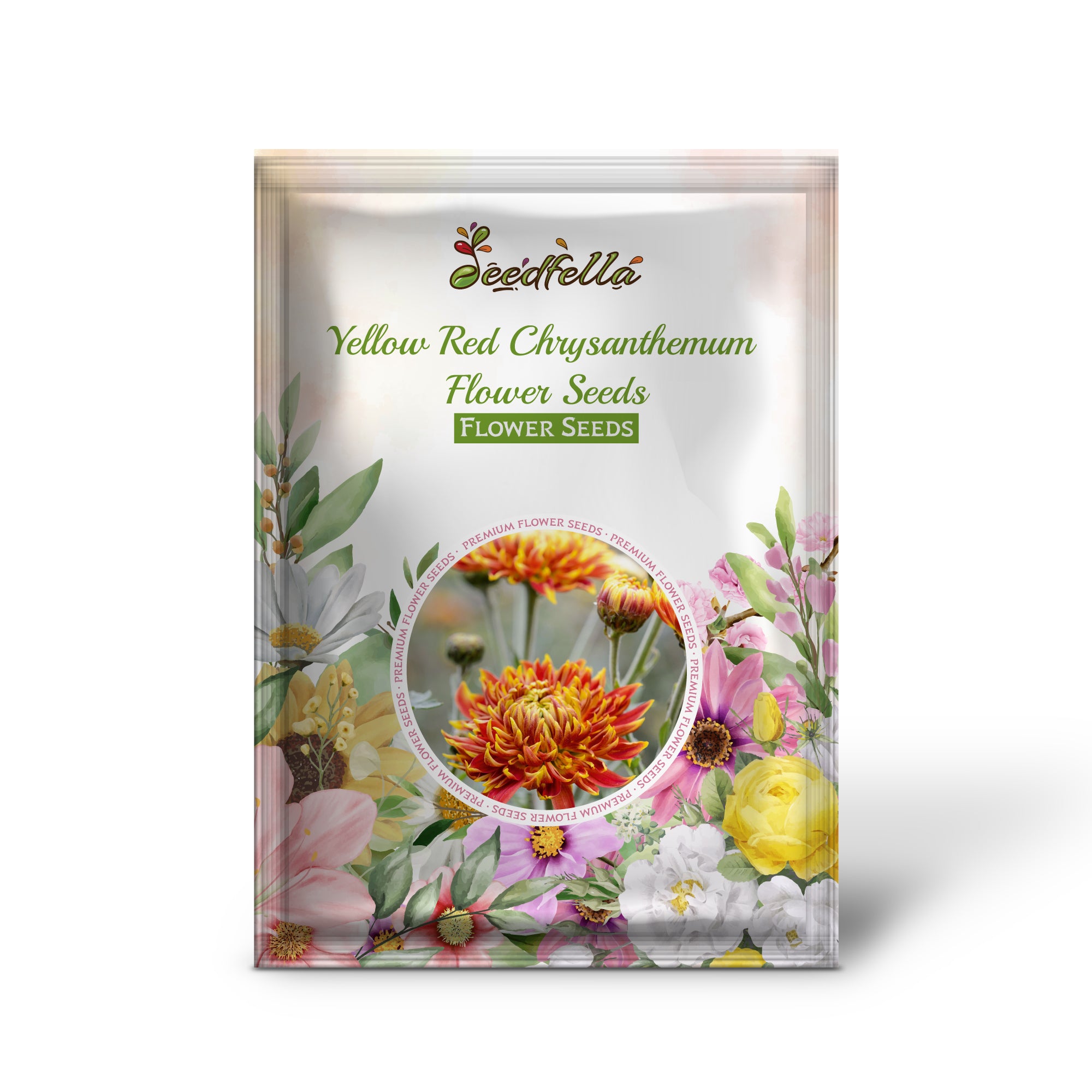 Chrysanthemum Yellow Red Seeds For Planting