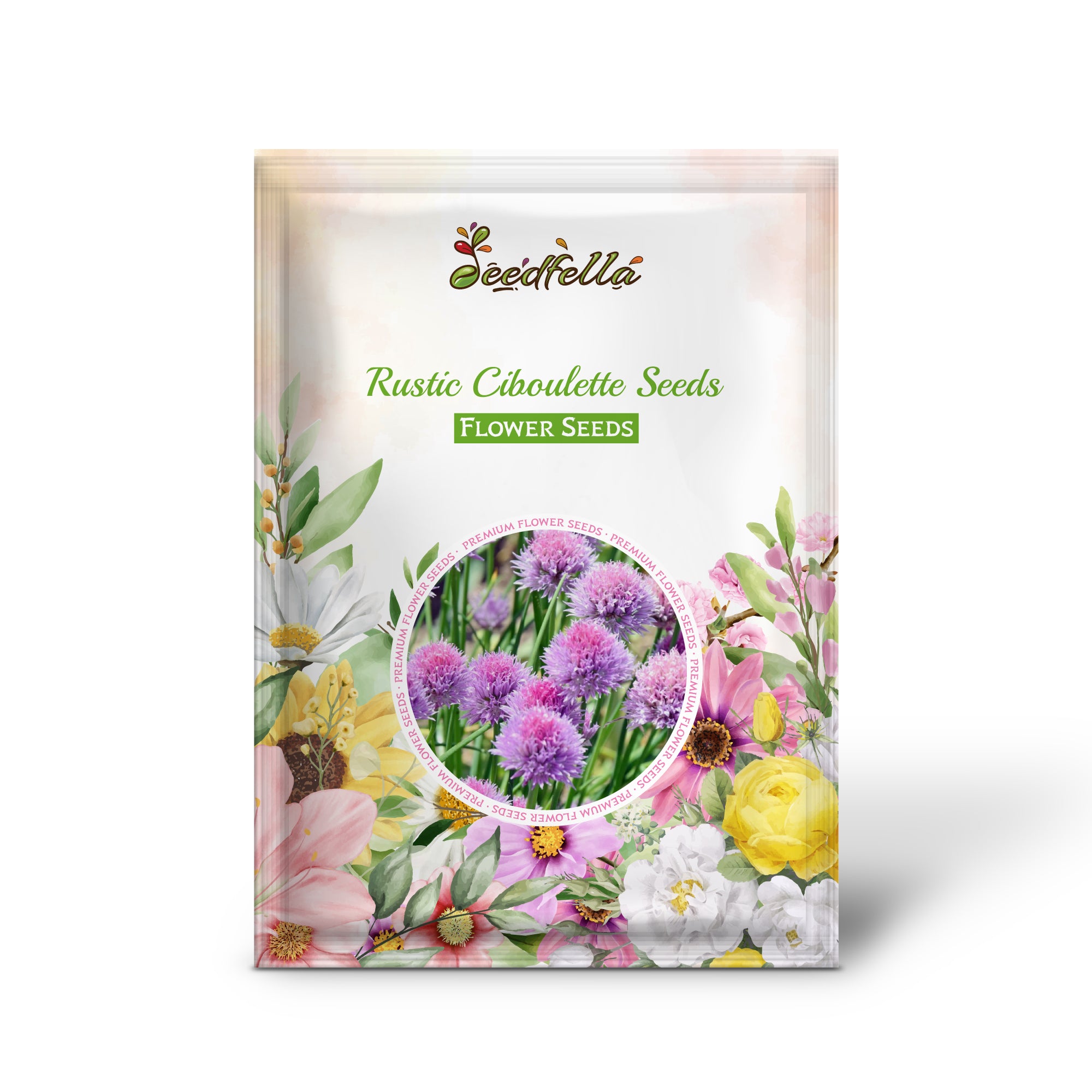 Rustic Ciboulette seeds germinating seedlings