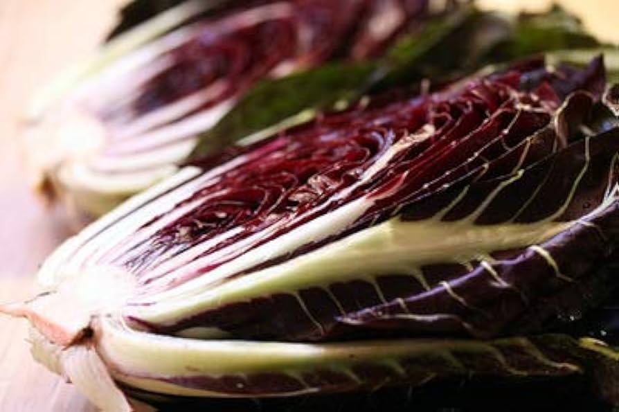 Castelfranco Radicchio growing in garden