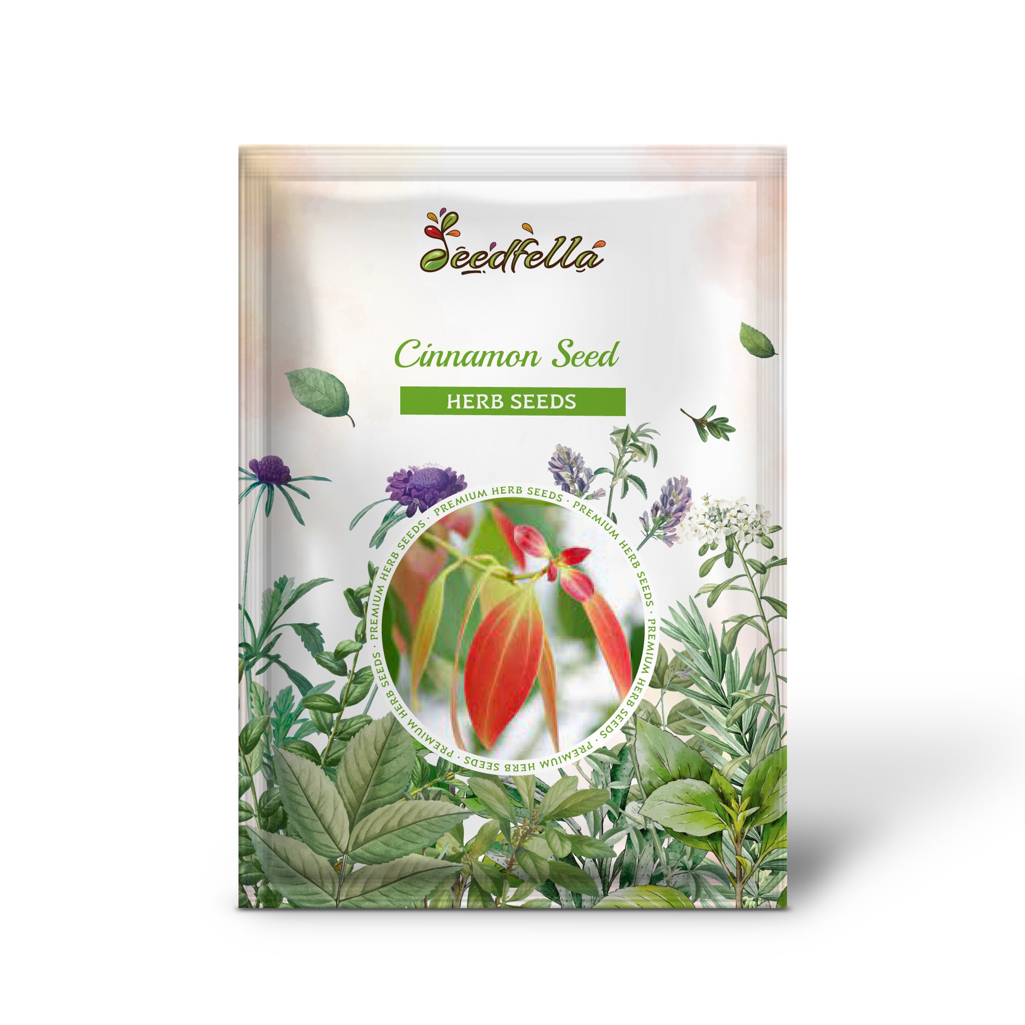 Cinnamon Seed Planting Pack – True Cinnamon Tree Seeds