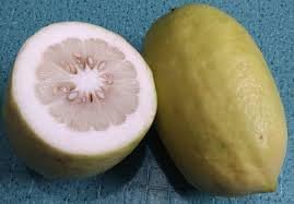 Citron Citrus Seeds for Planting, Step-by-Step Guide for Growing Fragrant, Tangy Citrus
