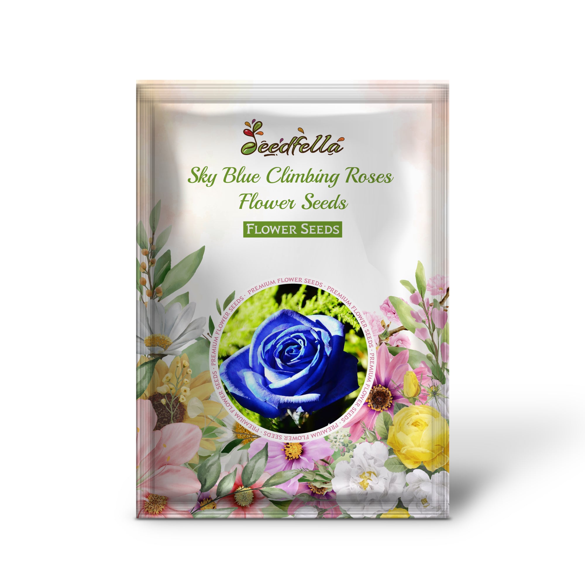 Climbing Roses Sky Blue Seeds