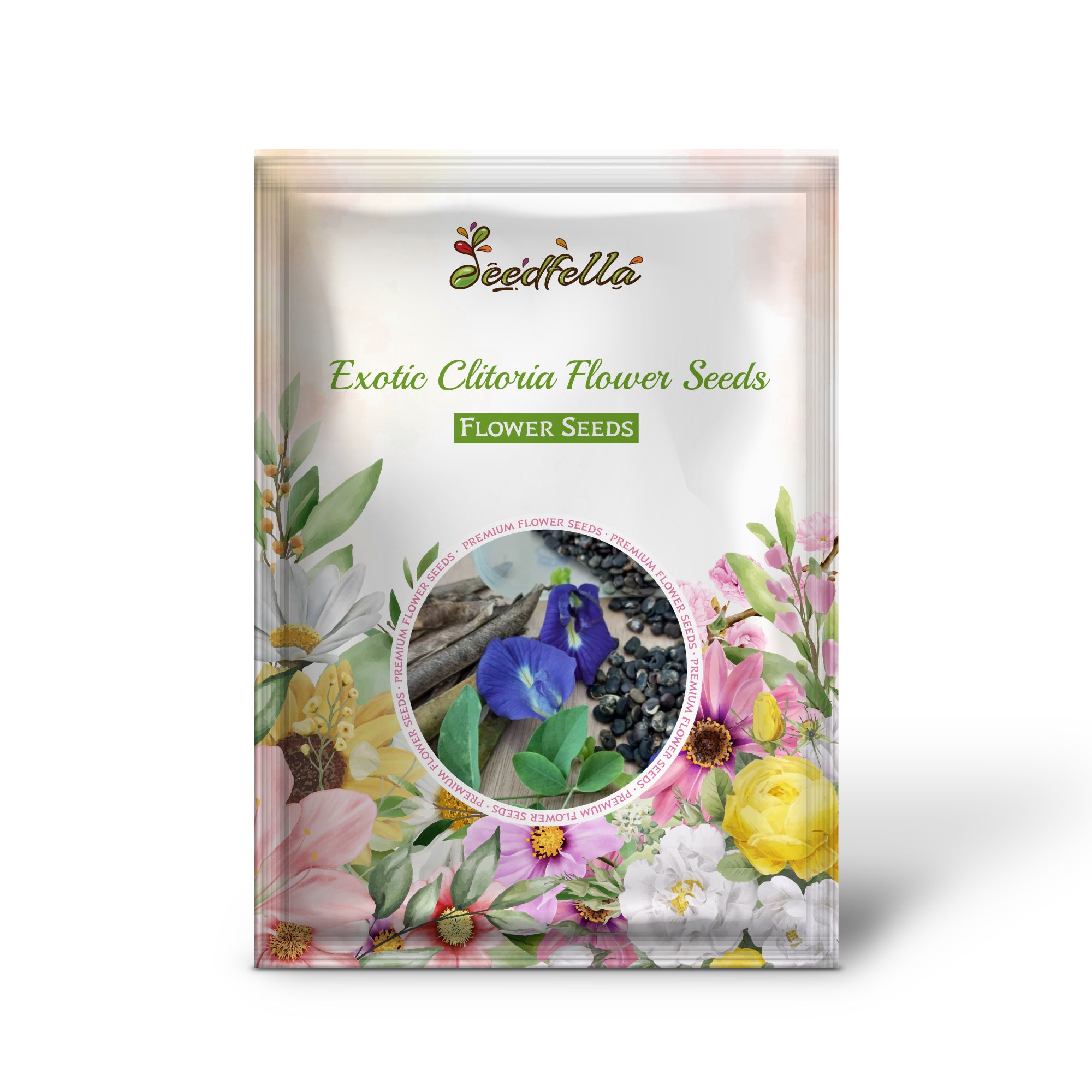 Clitoria ternatea Plant with Vibrant Blue Flowers