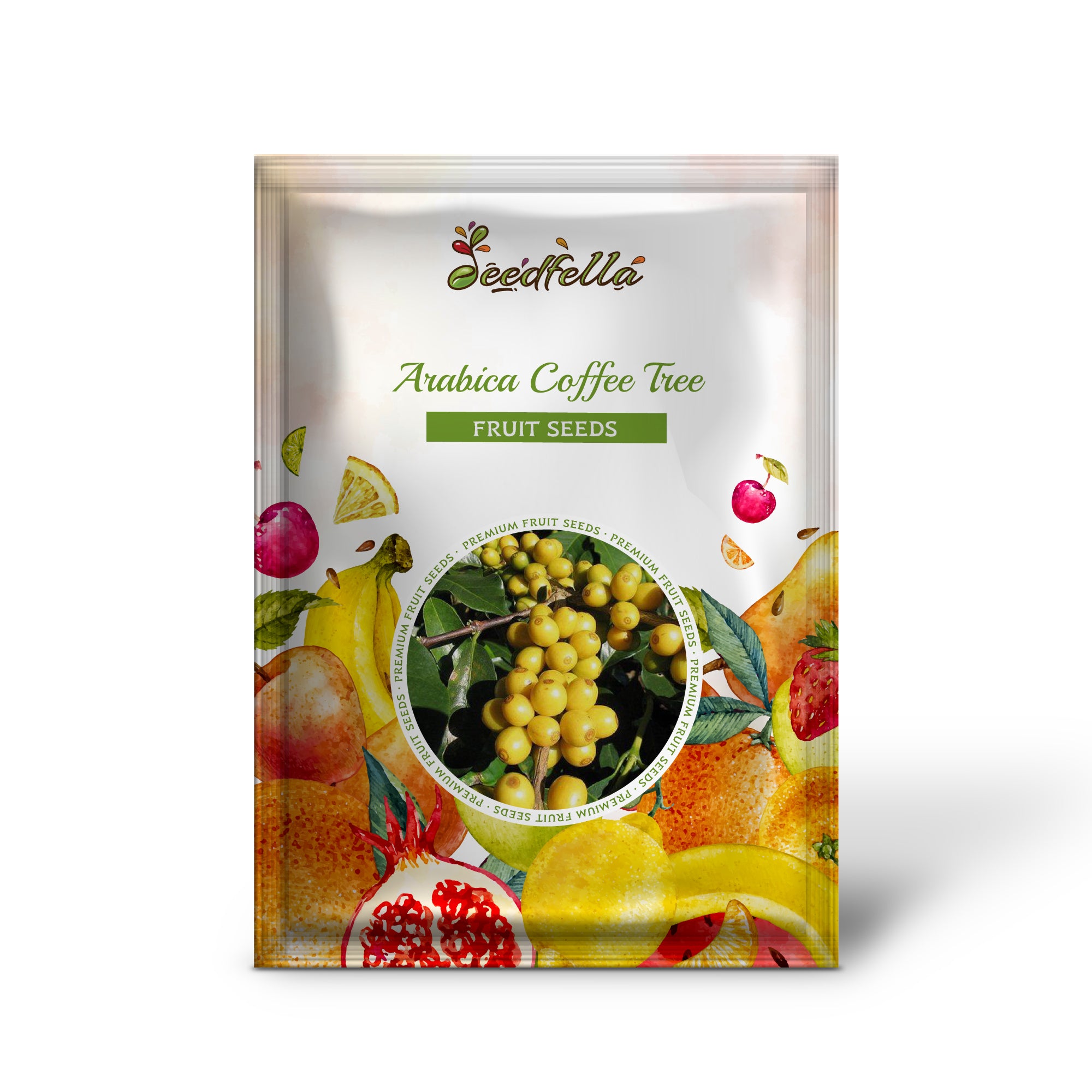 Coffea arabica Tree Seeds – Grow Your Own Coffee Beans Indoors