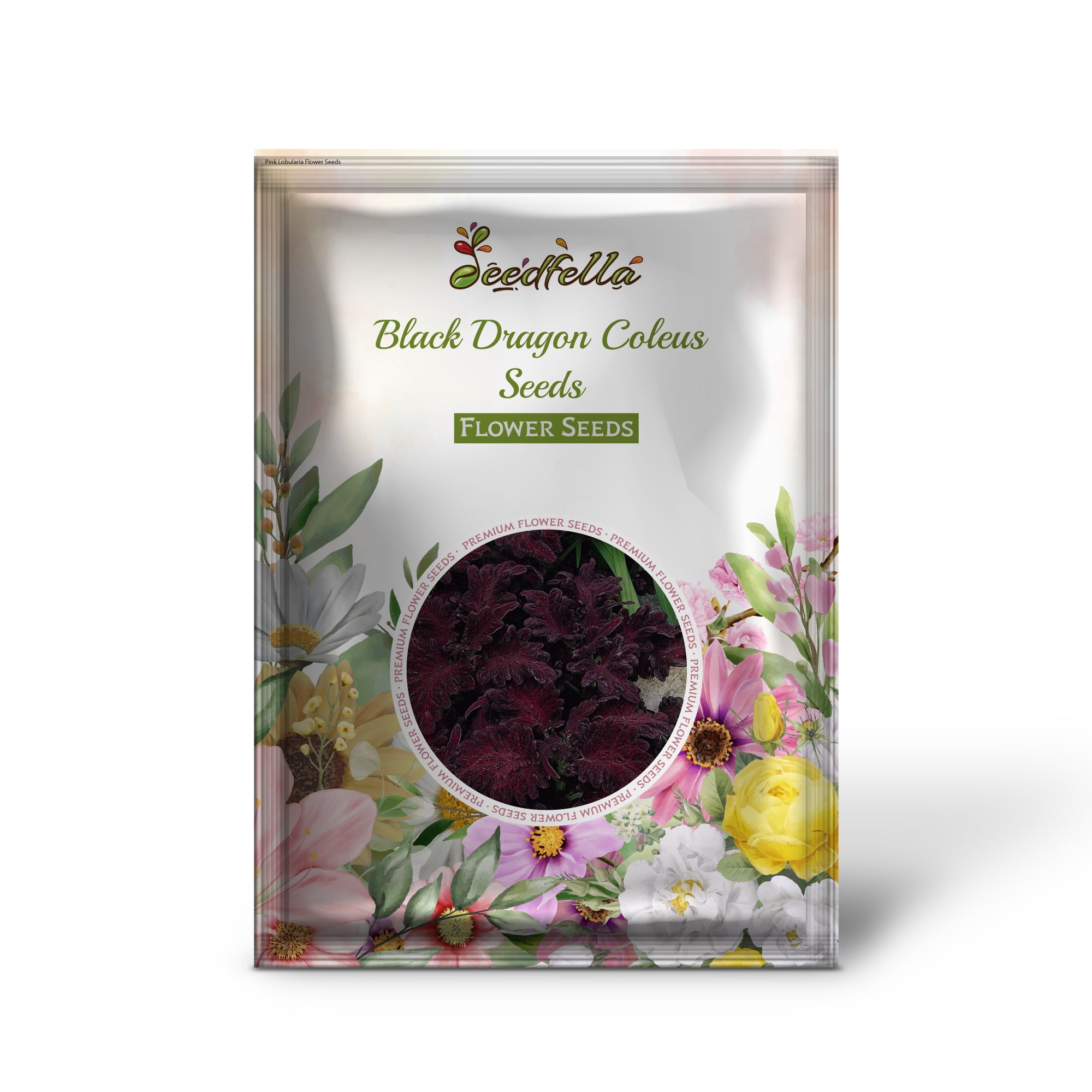 Coleus Black Dragon Seeds For Planting
