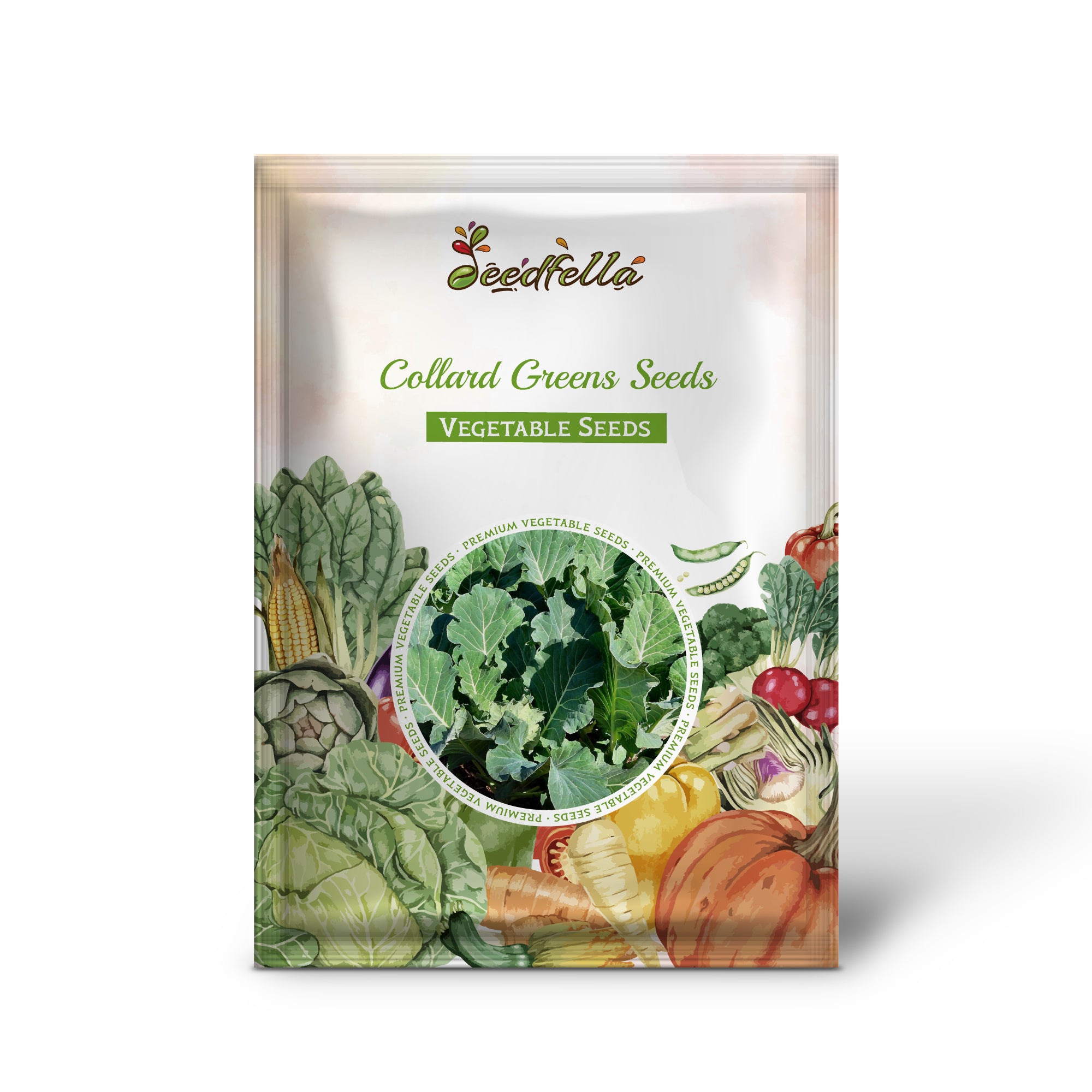 Collard Greens seedlings sprouting in moist garden soil