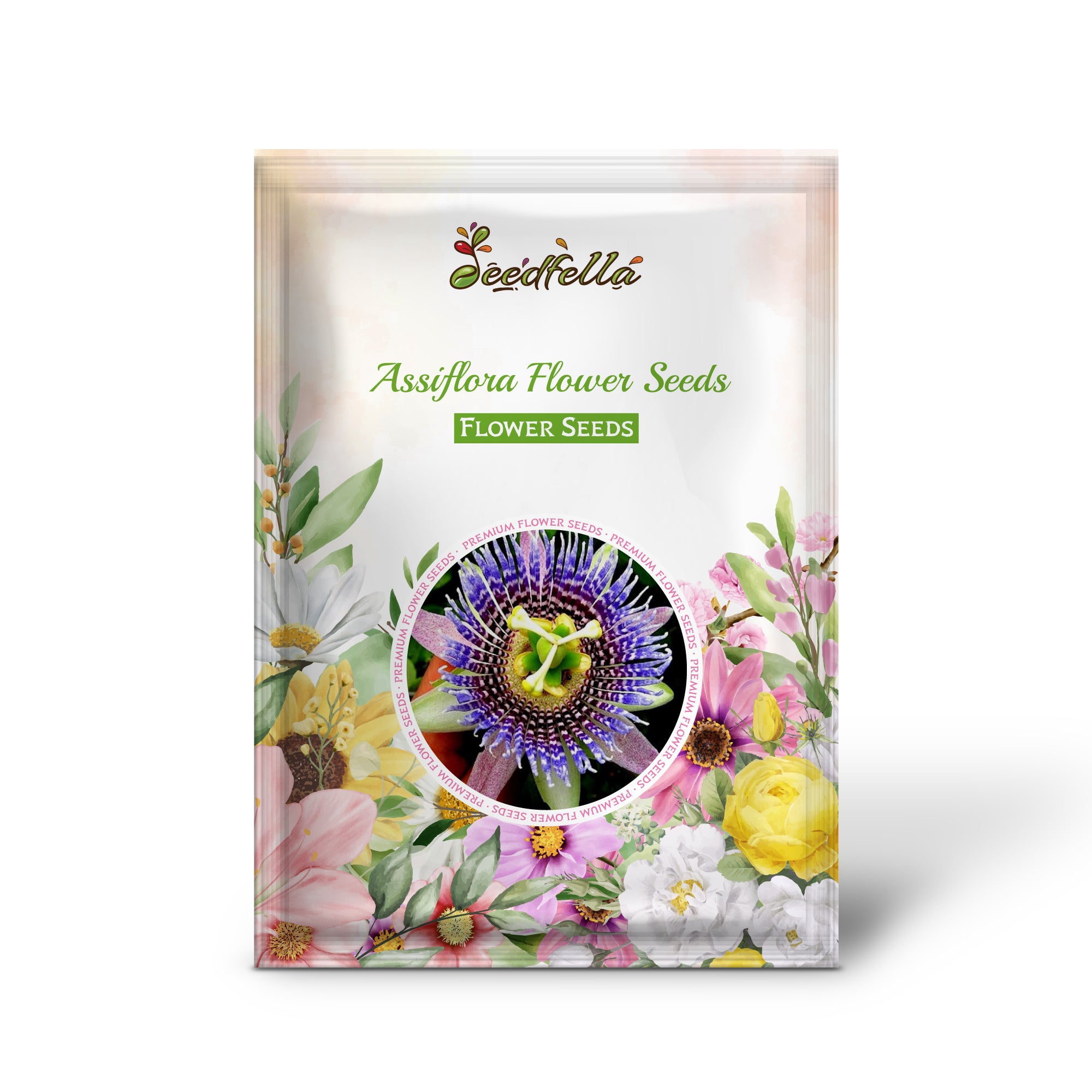 Vibrant Mixed-Color Assiflora Blooms in Garden Setting