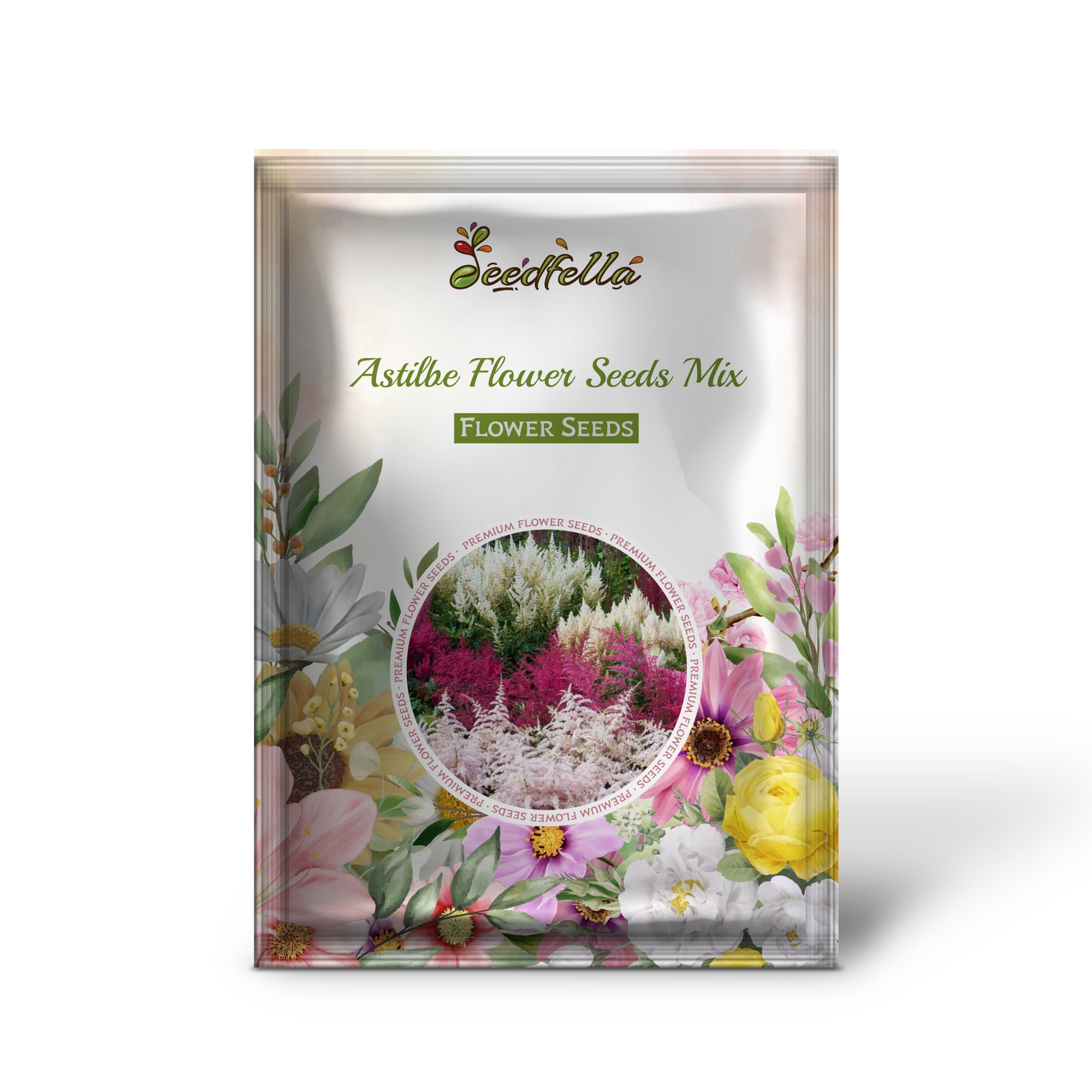 Colorful Mixed Astilbe Morning Blooms in Garden