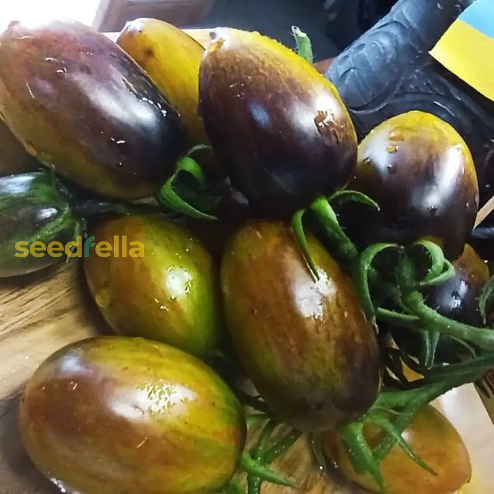 Colorful atomic tomato seeds for home gardening