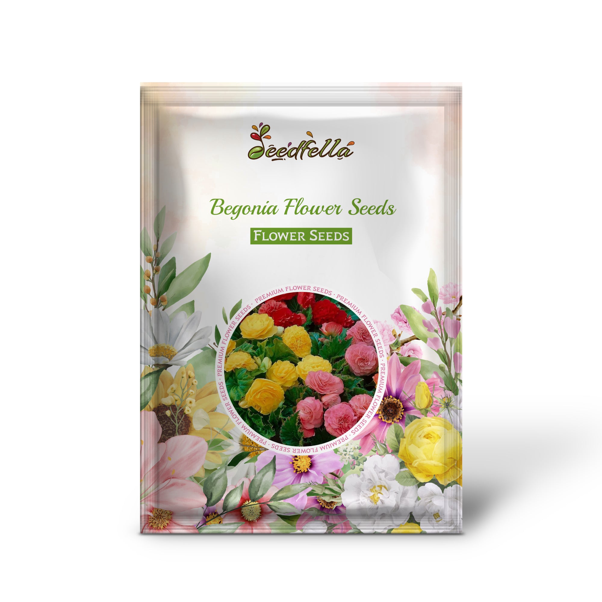 Colorful Begonia Flower Seeds for Garden and Pots