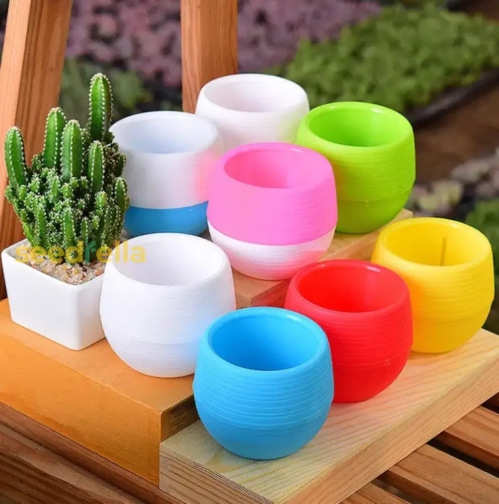 Colorful Mini Succulent Pots – Pp Resin Rainbow Planters For Small Plants Garden Tools