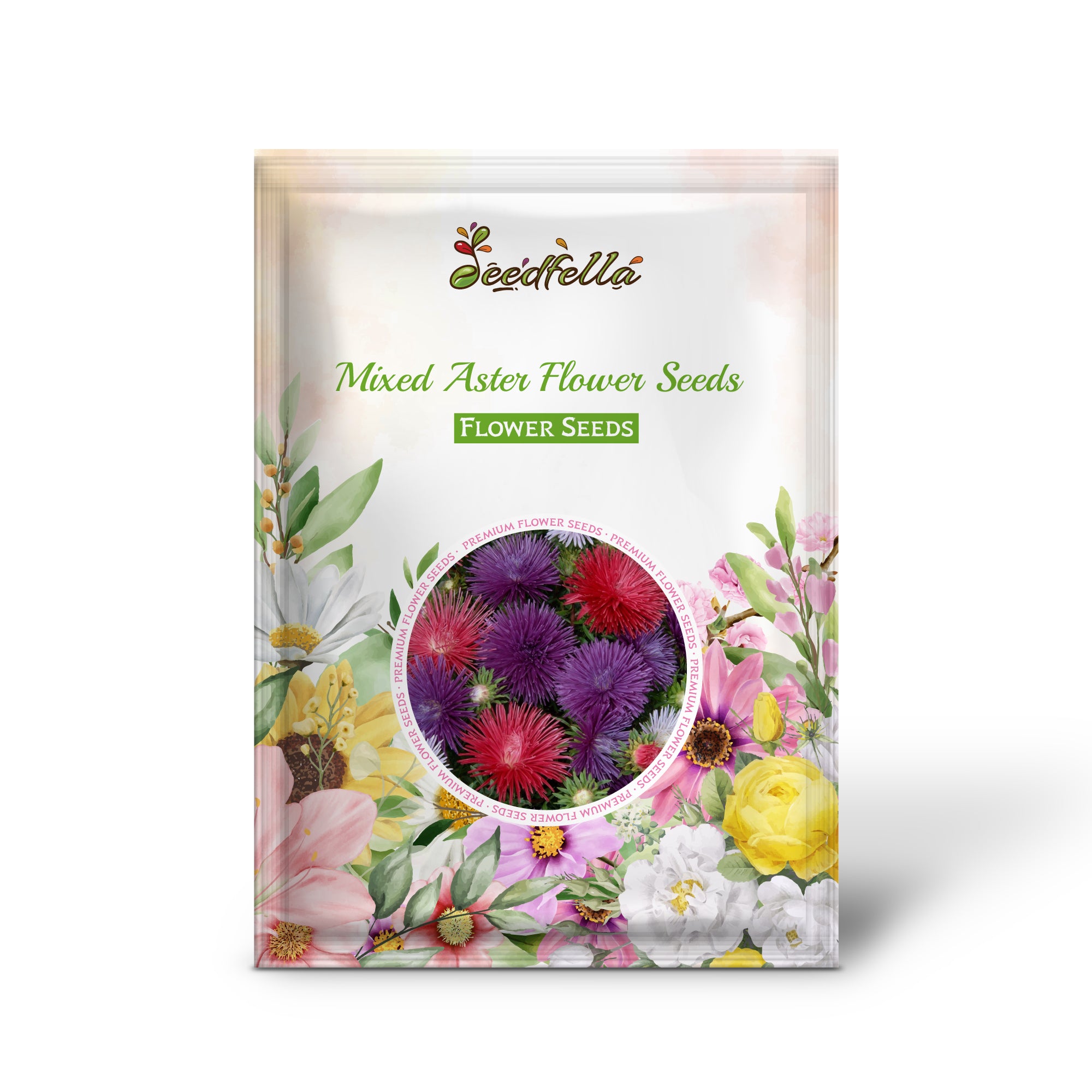 Colorful Mixed Aster Blooms in Garden