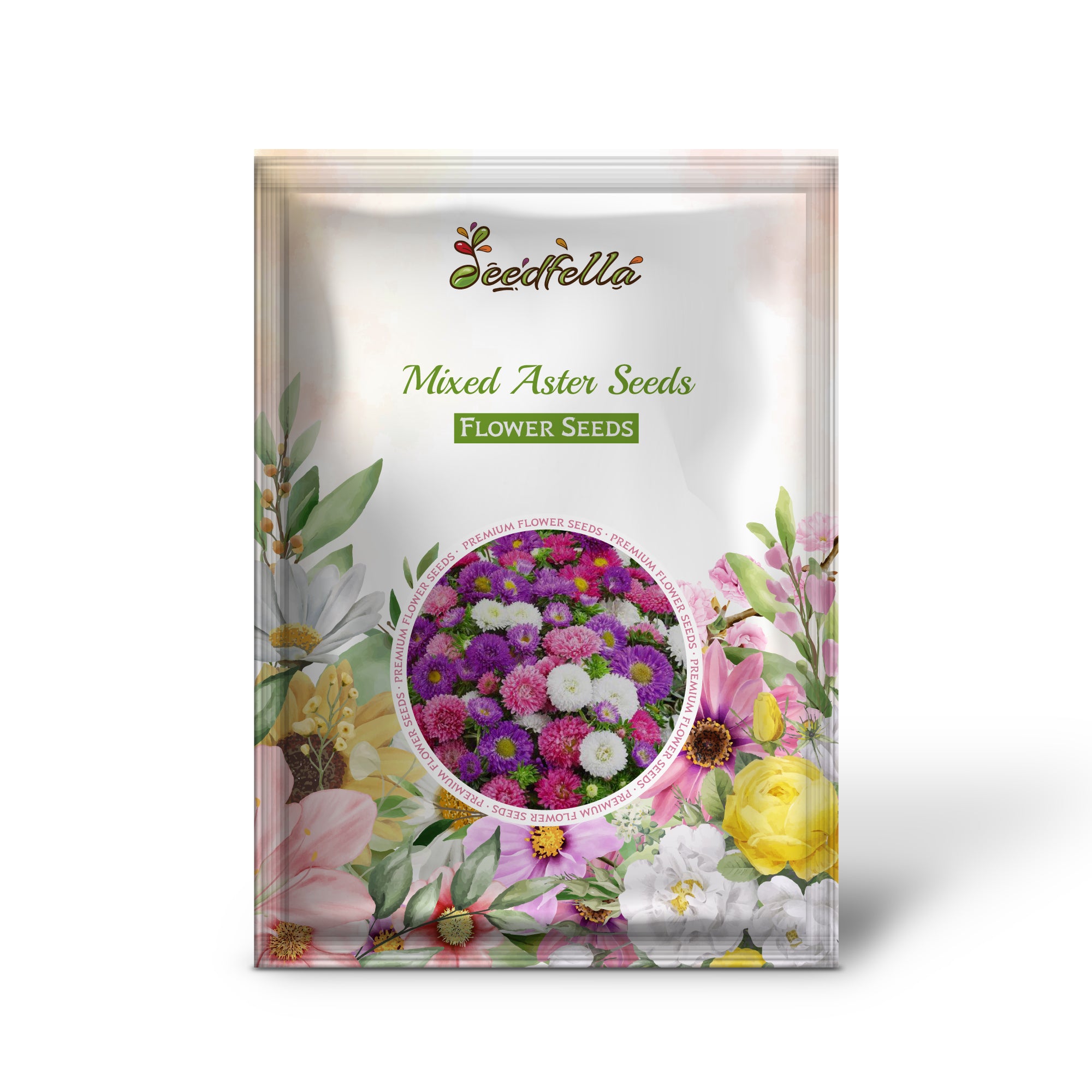 Colorful mixed aster flowers blooming beautifully in a home garden