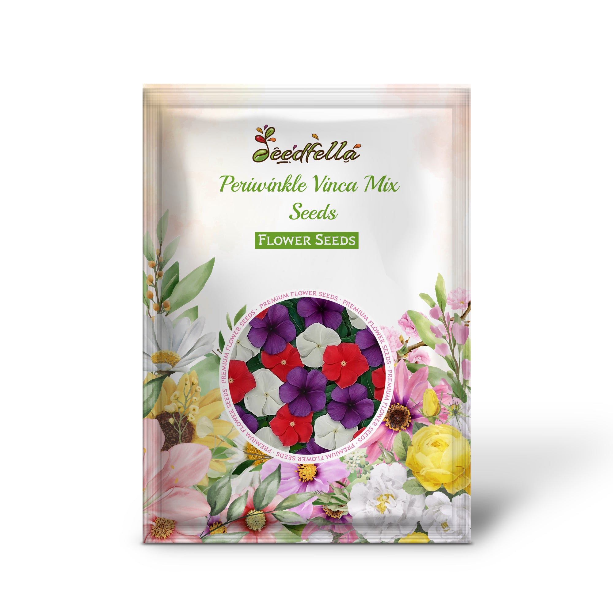 Colorful Vinca Blooms in a Garden