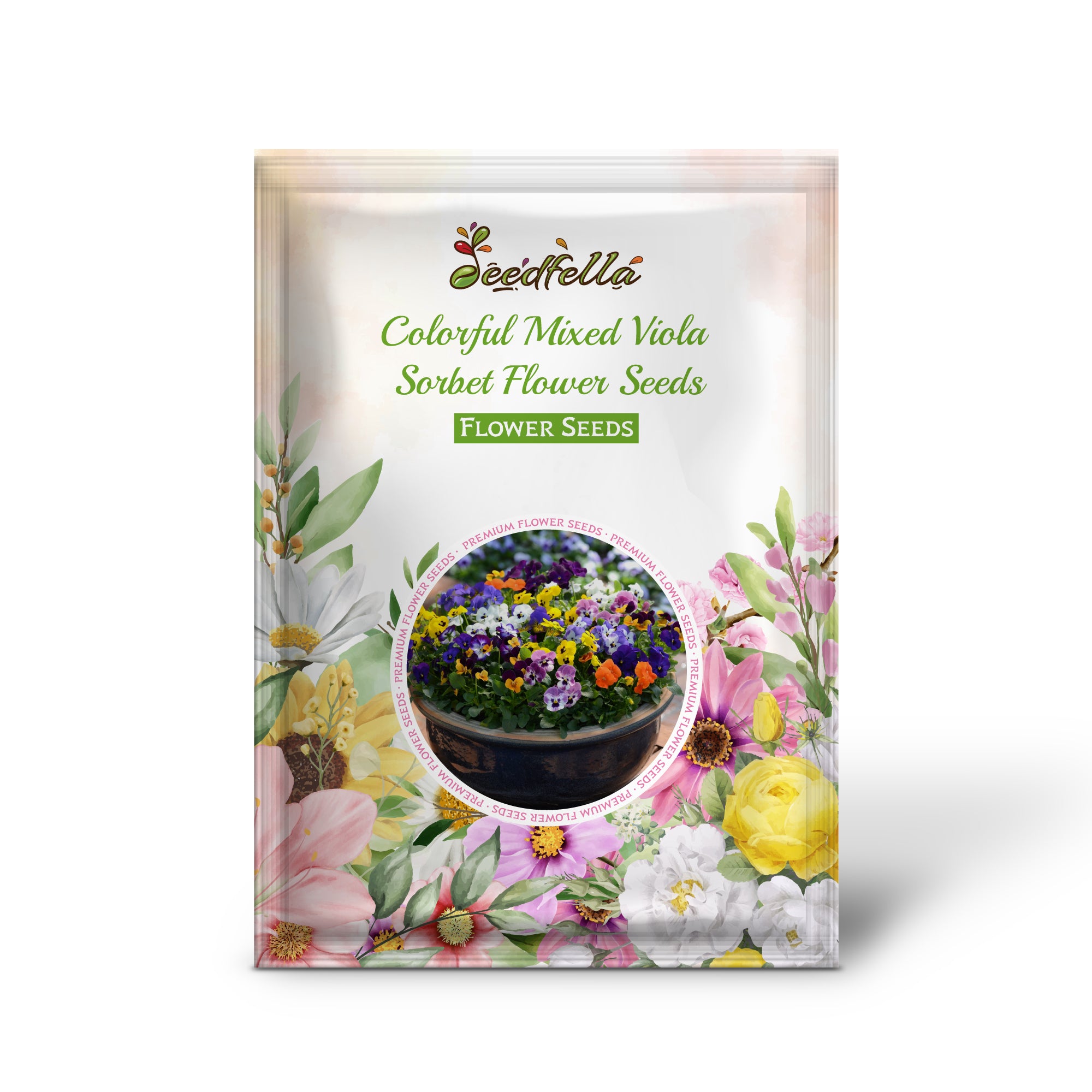 Colorful viola flowers in bloom