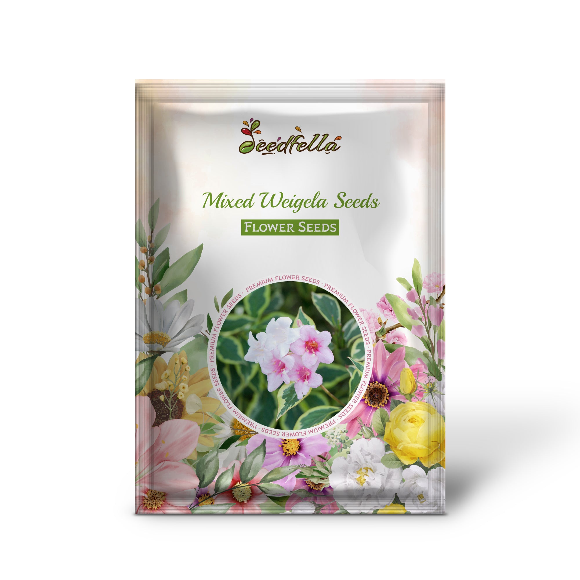 Colorful Mixed Weigela Blooms in Garden