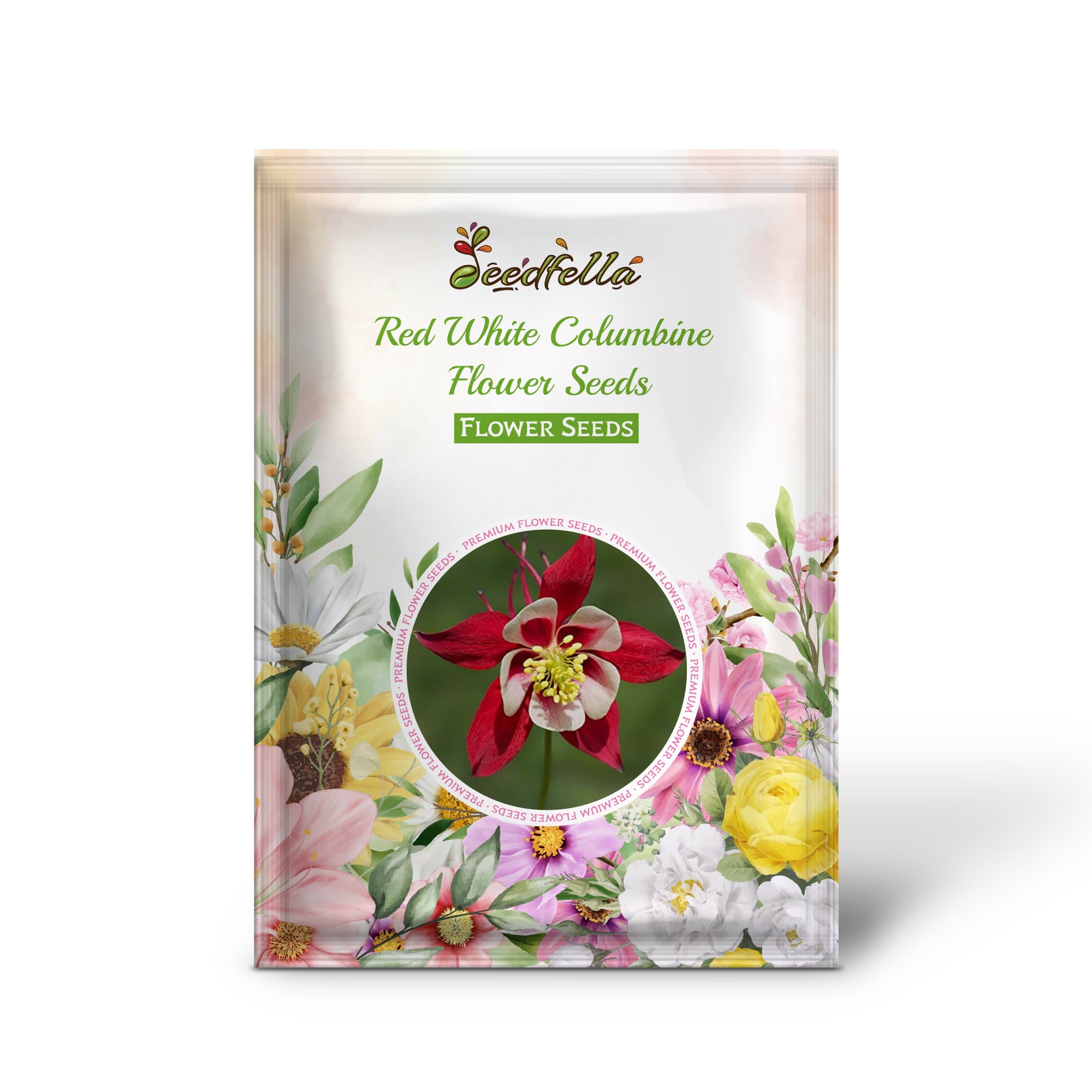 Red and White Columbine flowers in full bloom