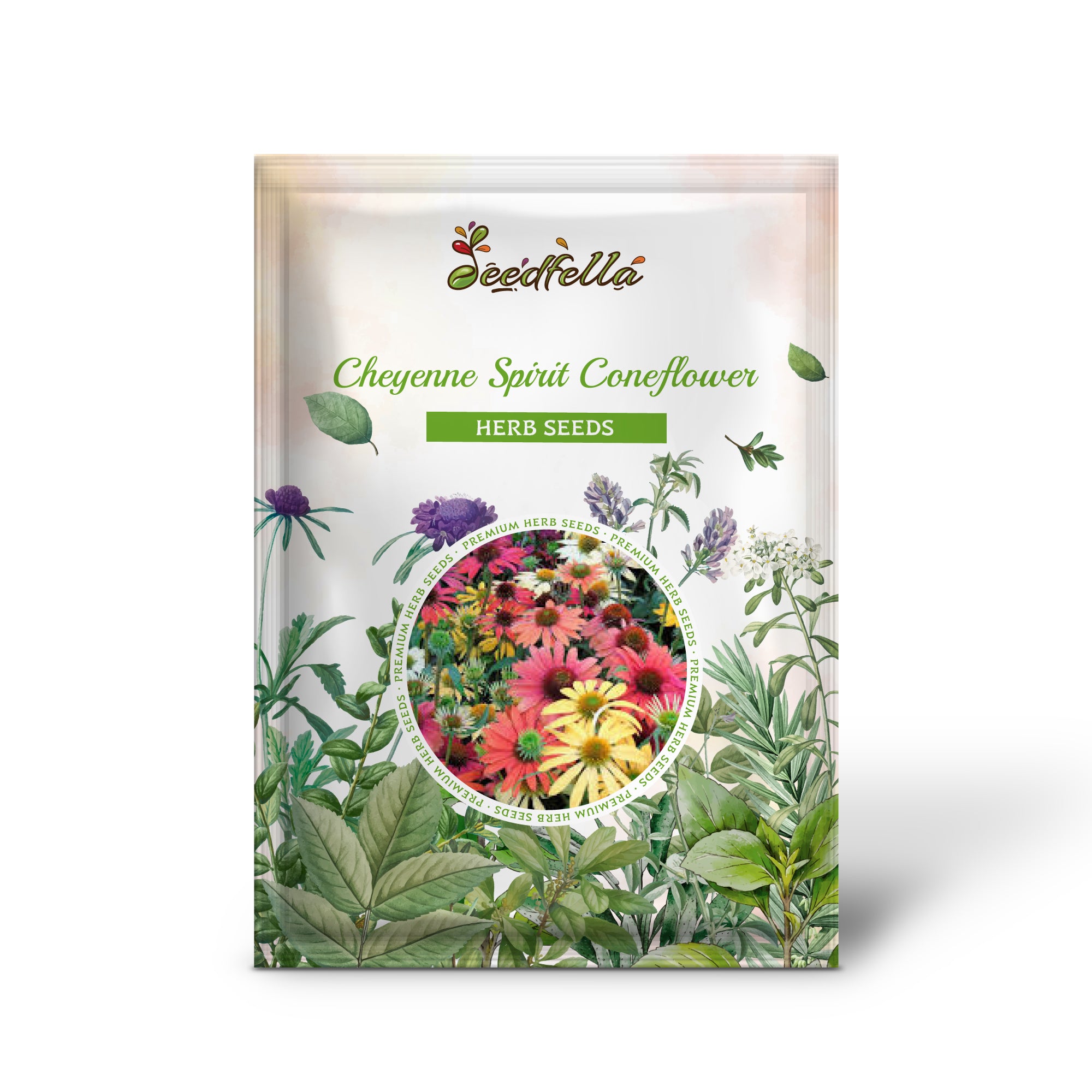 Mixed Color Cheyenne Spirit Coneflower Seed Pack for Garden