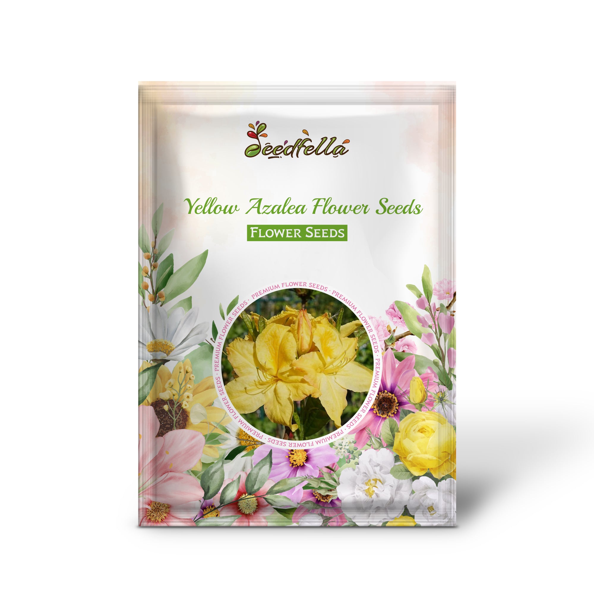 Yellow Azalea Flowers in Garden Pots