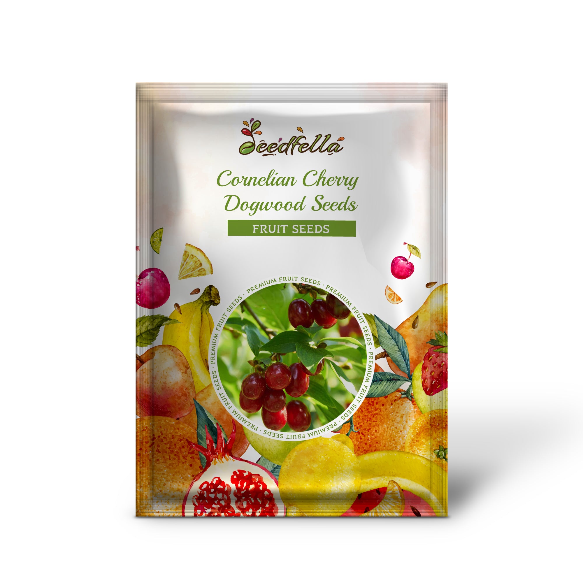 Cornus mas Cornelian cherry seeds producing bright red edible fruits