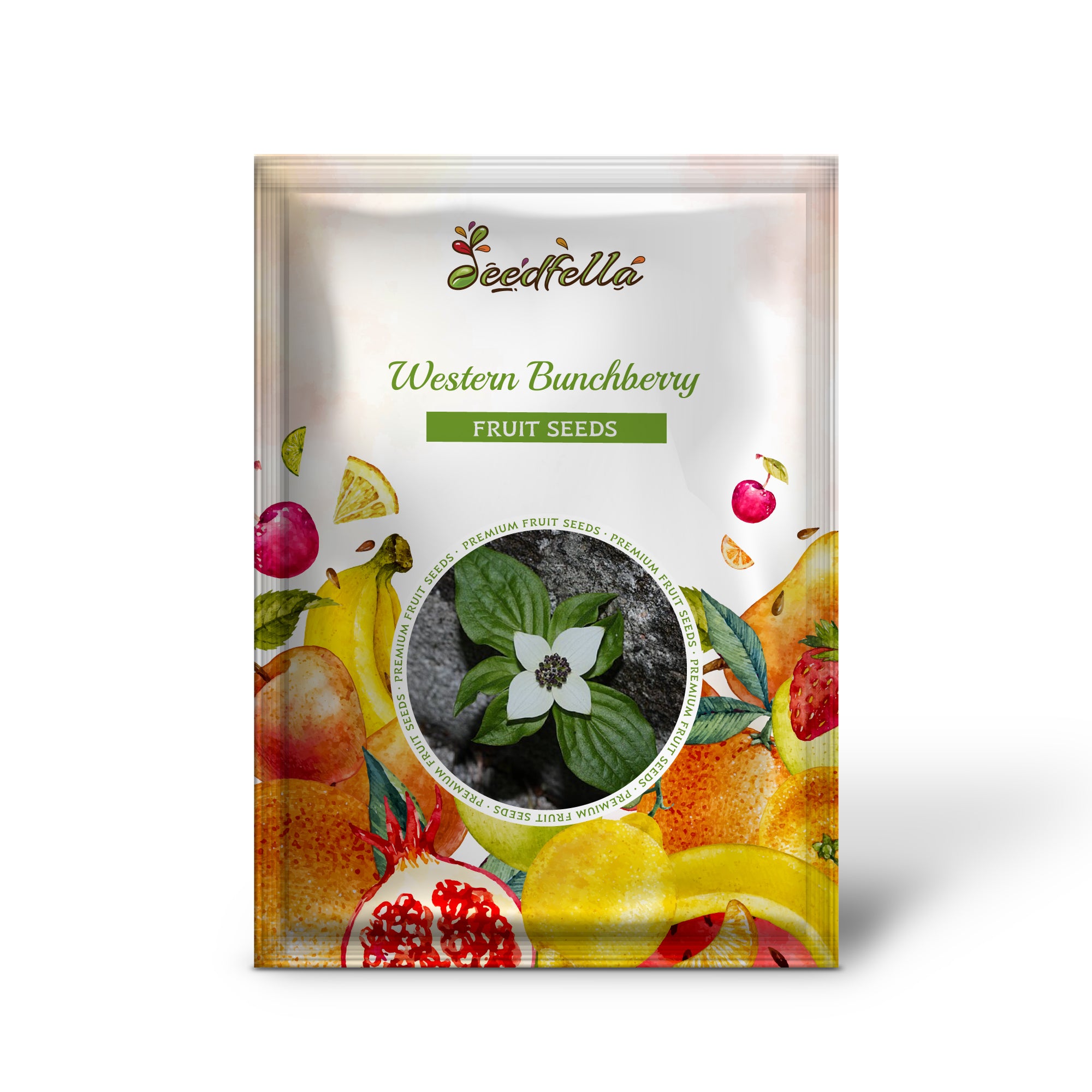 Cornus unalaschkensis seedlings growing in nursery pots