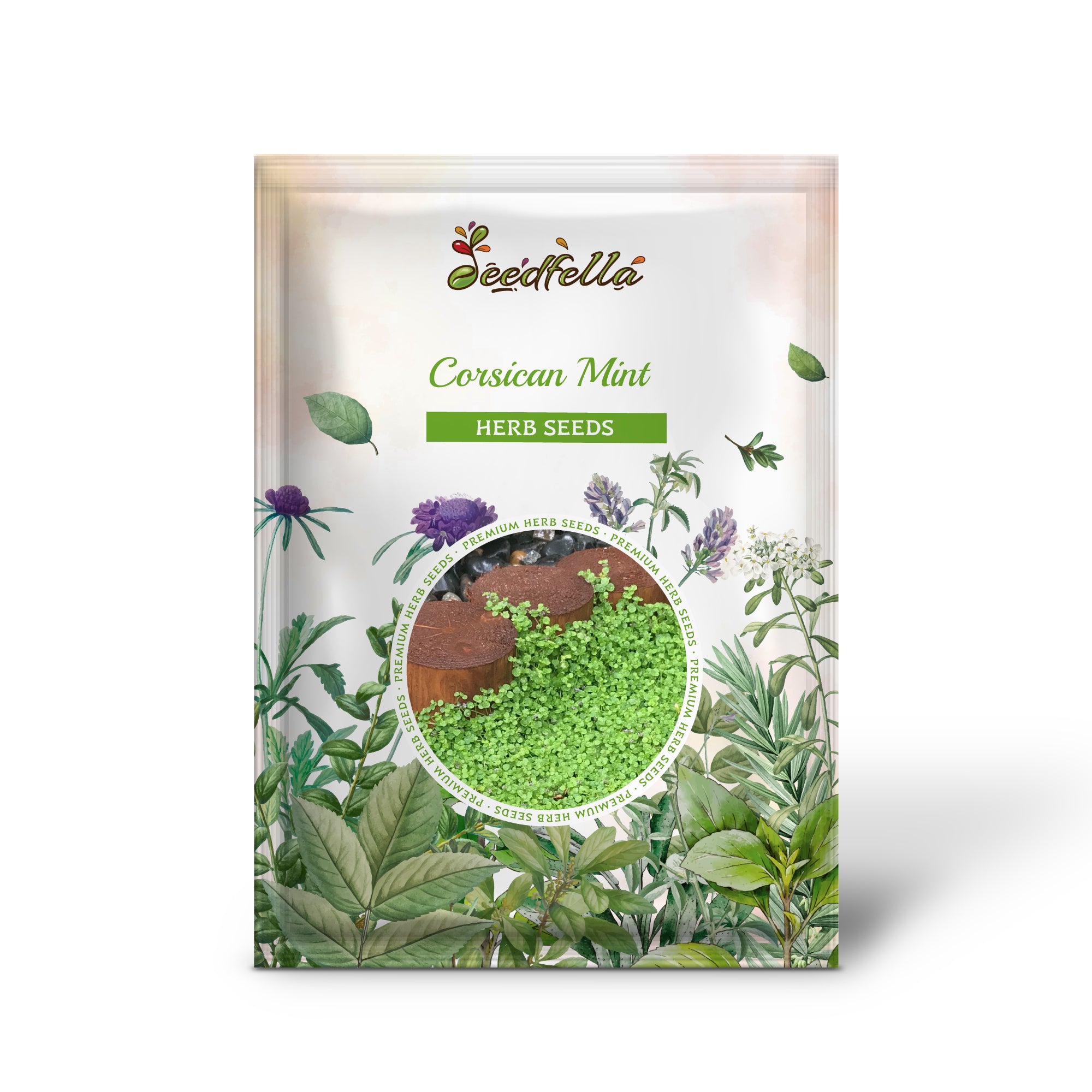 Premium Non-GMO Corsican Mint Seeds Pack