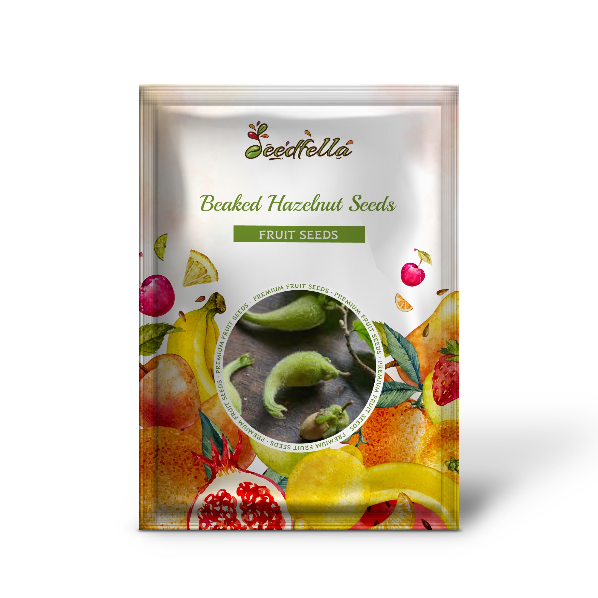 Corylus cornuta beaked hazelnut seeds producing edible nuts in beaked husks