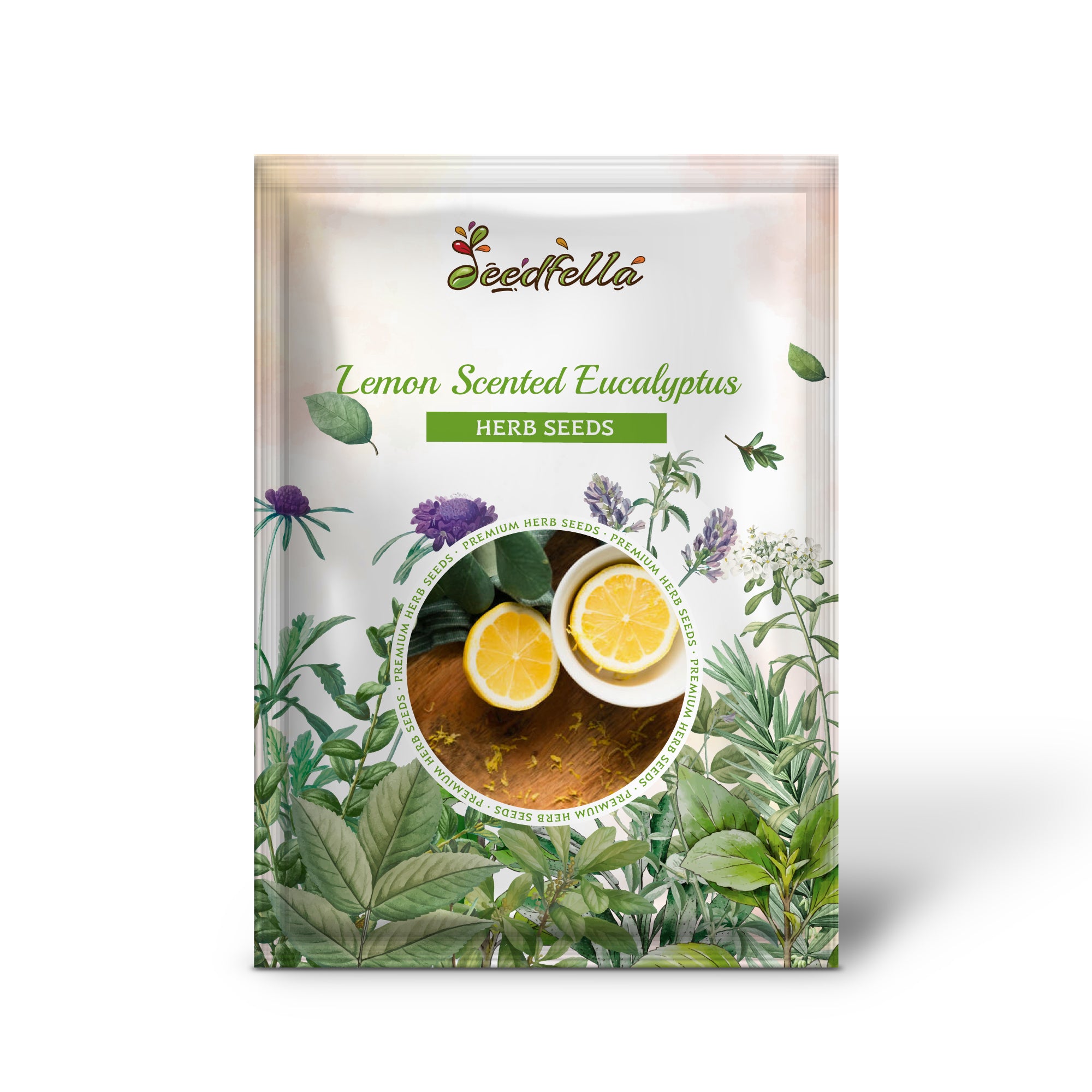 Colorful Peeling Bark of Lemon Scented Eucalyptus Corymbia Citriodora