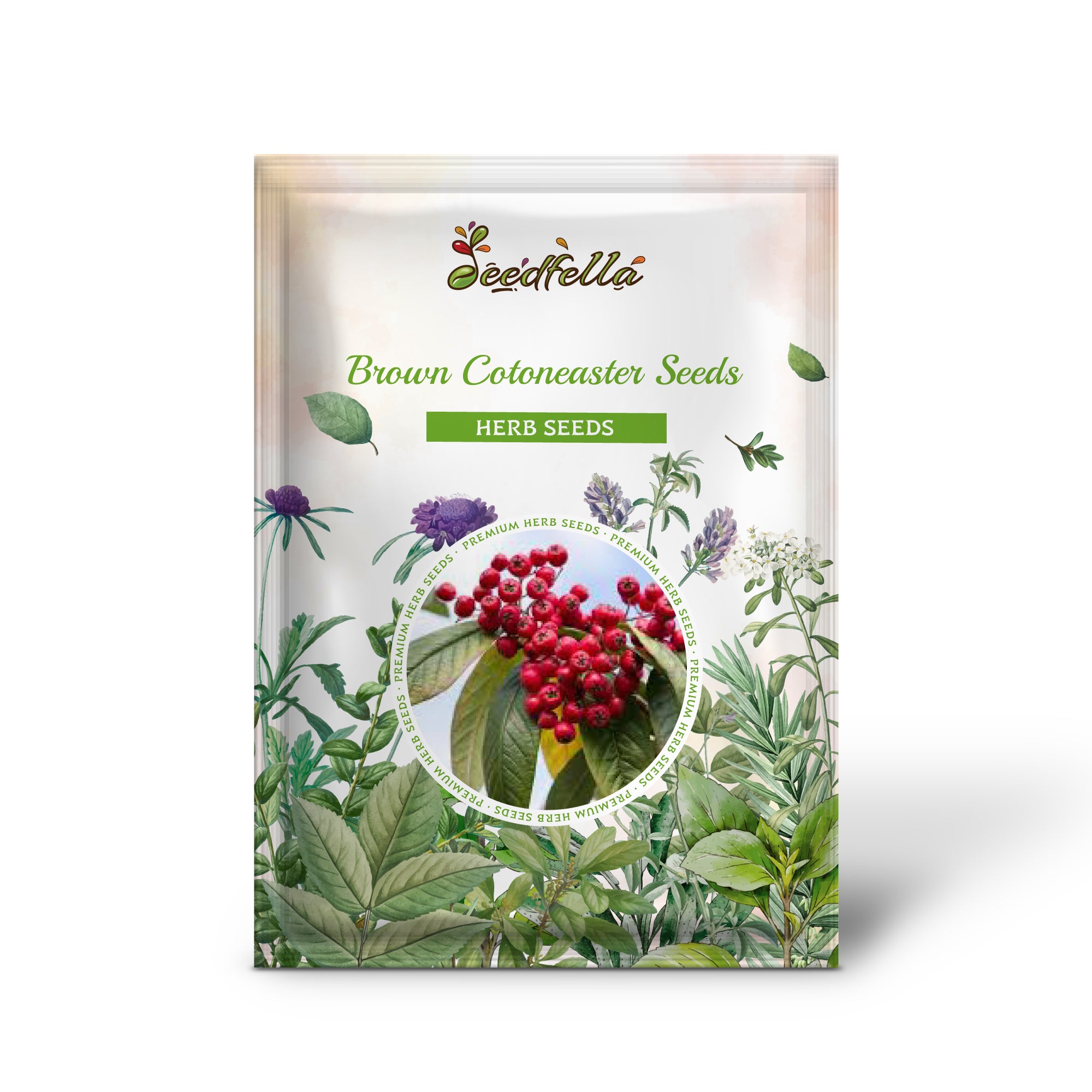 Cotoneaster Seeds – Non-GMO Hardy Shrub for Landscaping