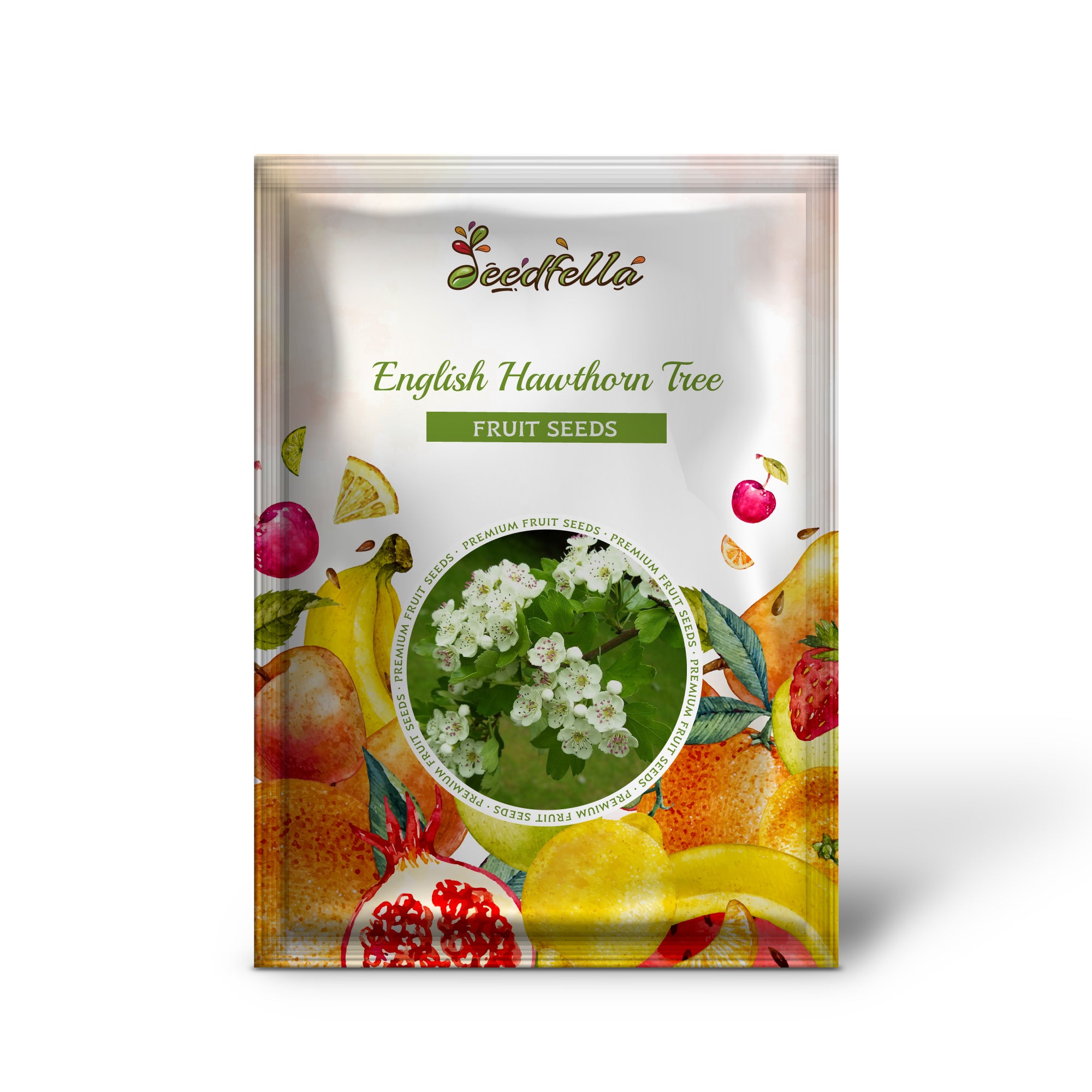 Crataegus laevigata Seeds – English Hawthorn Non-GMO Mayflower Tree