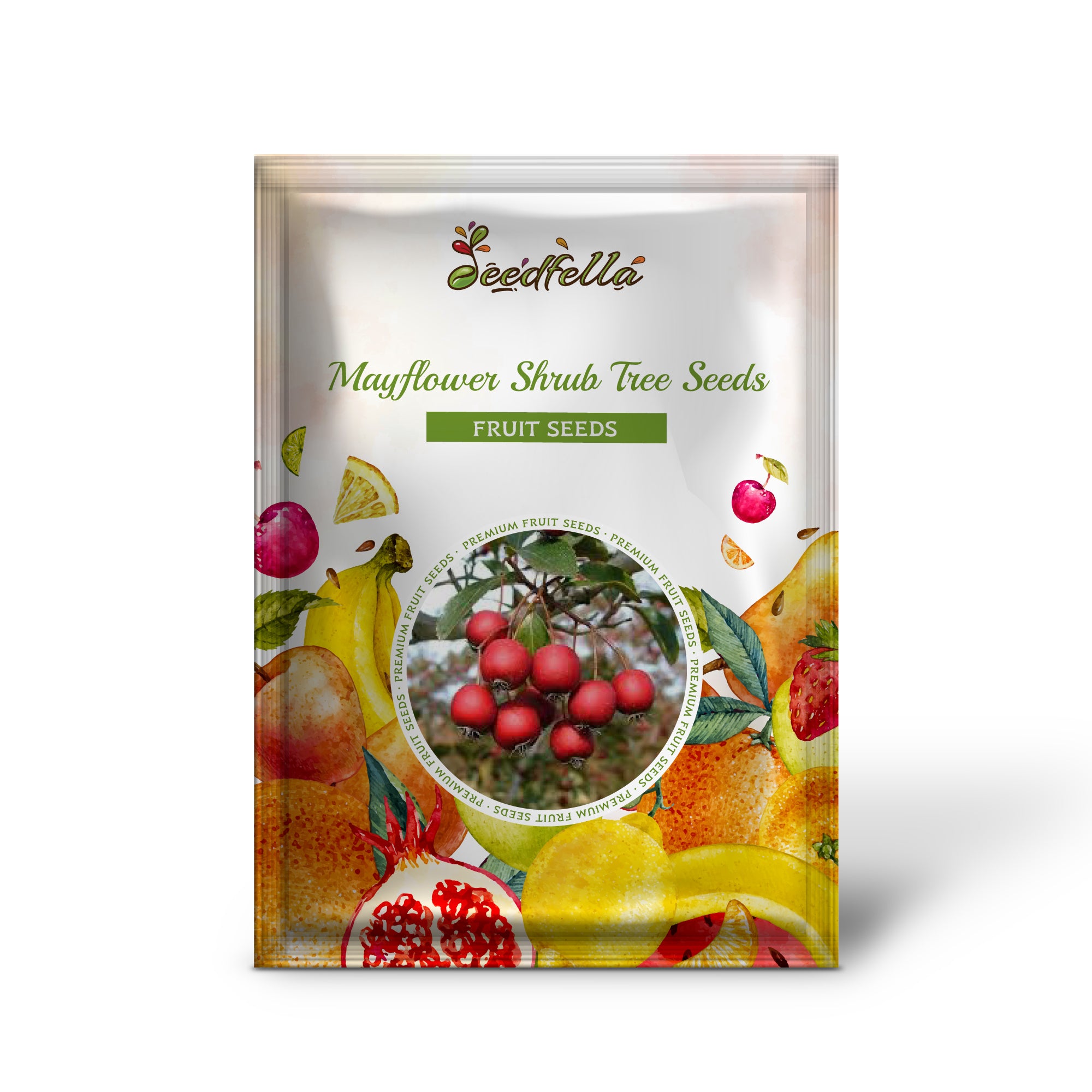 Crataegus phaenopyrum Seeds – Washington Hawthorn Non-GMO Ornamental Tree