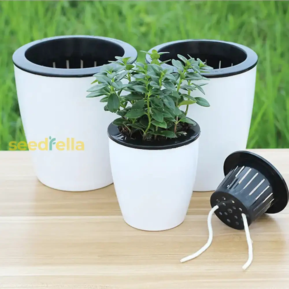 Creative Indoor Self-Watering Flowerpot – Automatic Water Absorbing Round Plant Pot Garden Tools