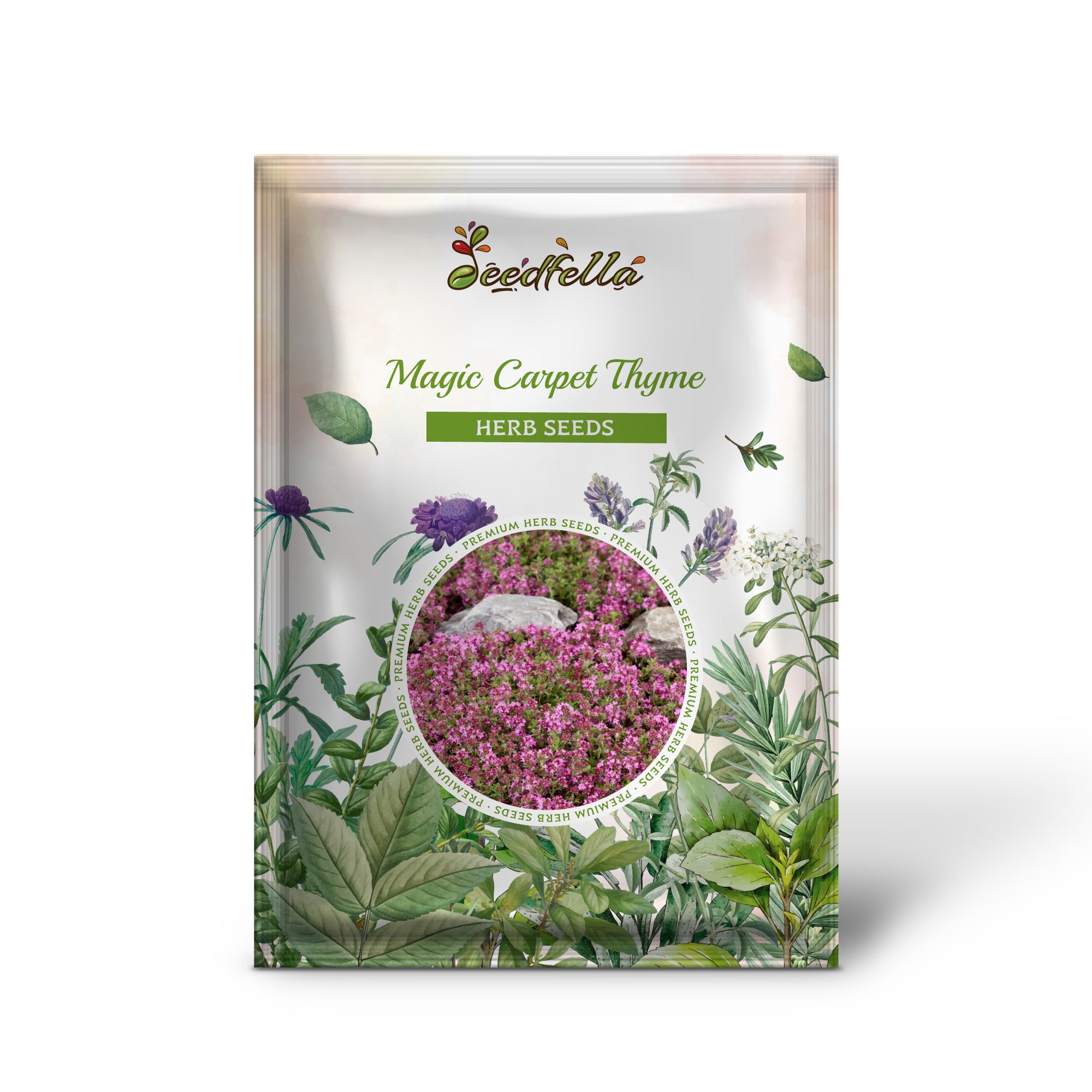 Creeping Magic Carpet Thyme pink blooms grown from seeds