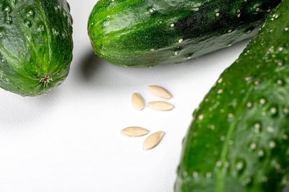 Crisp cucumber plant seeds for fresh harvest