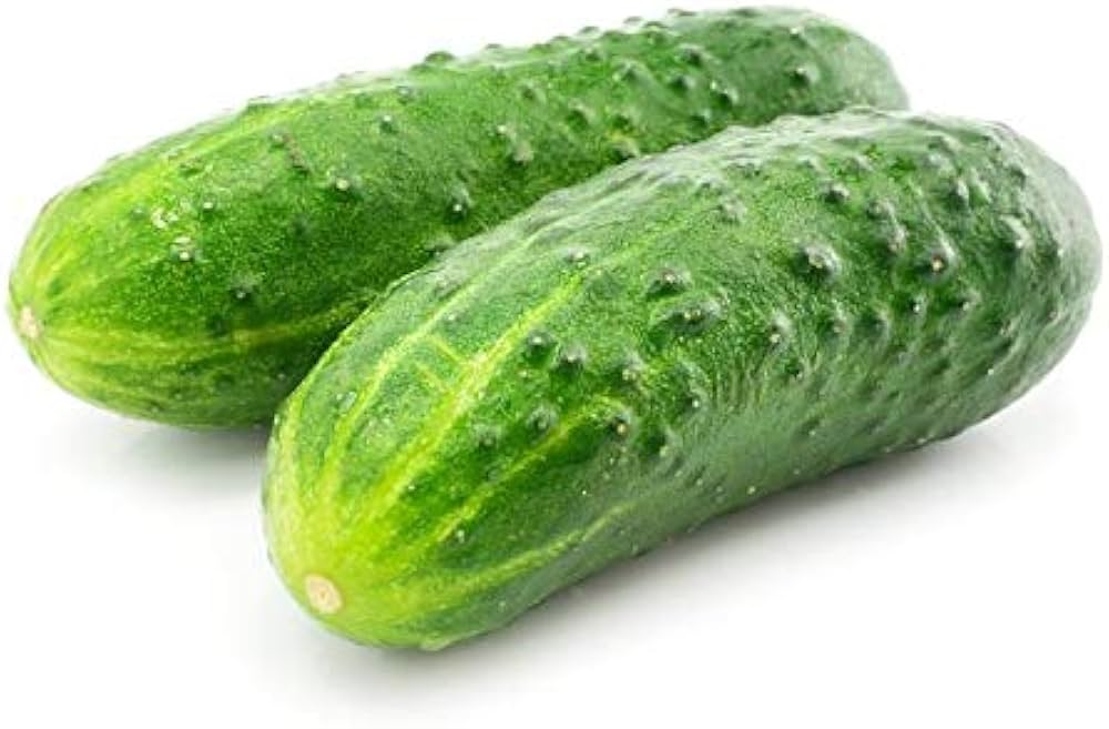 Crisp pickling cucumber seeds for home gardens