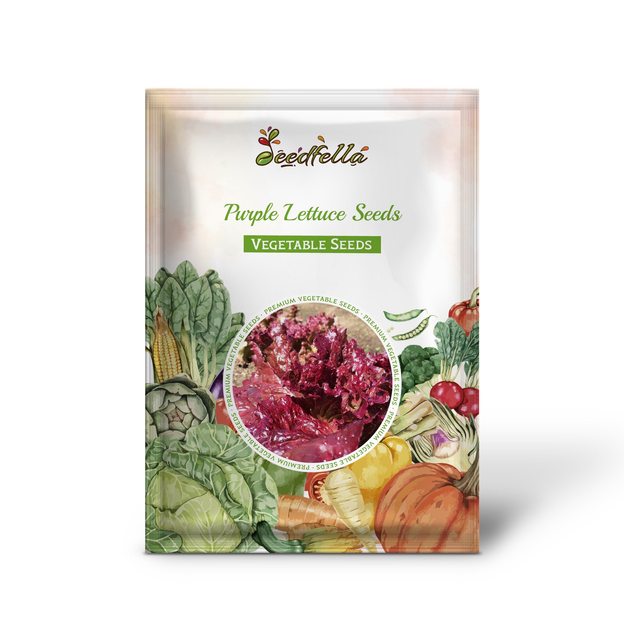 Crisp purple lettuce seeds for home gardens