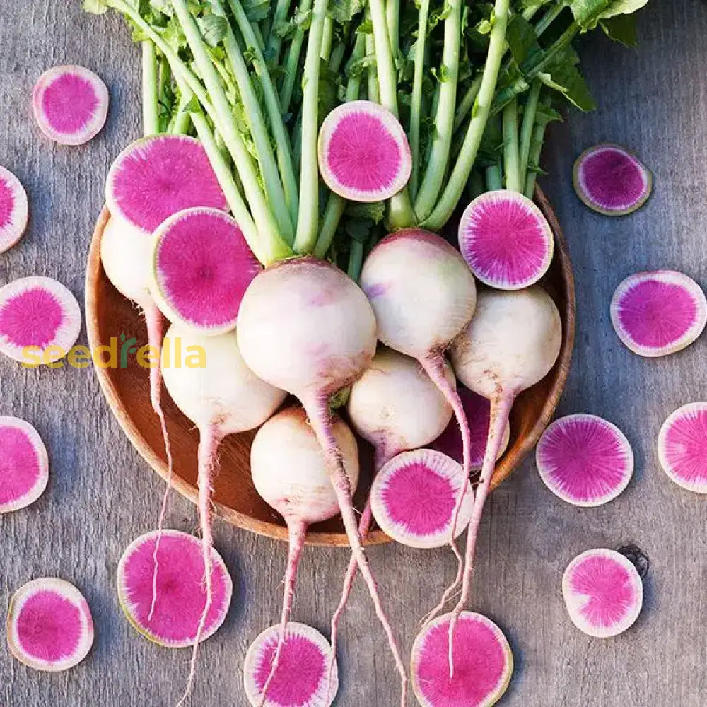 Crisp Red Watermelon Radish Seeds For Planting Vegetable Seeds