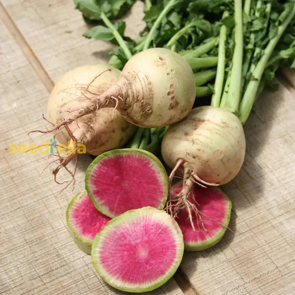 Crisp Red Watermelon Radish Seeds For Planting Vegetable Seeds