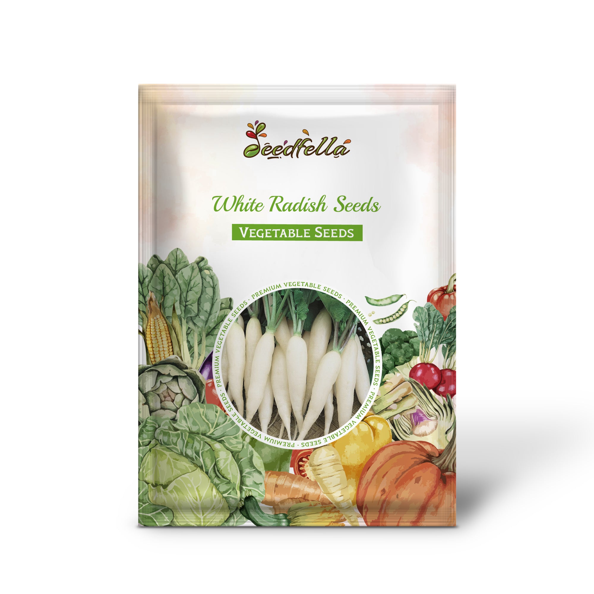 Crisp white radishes growing in soil