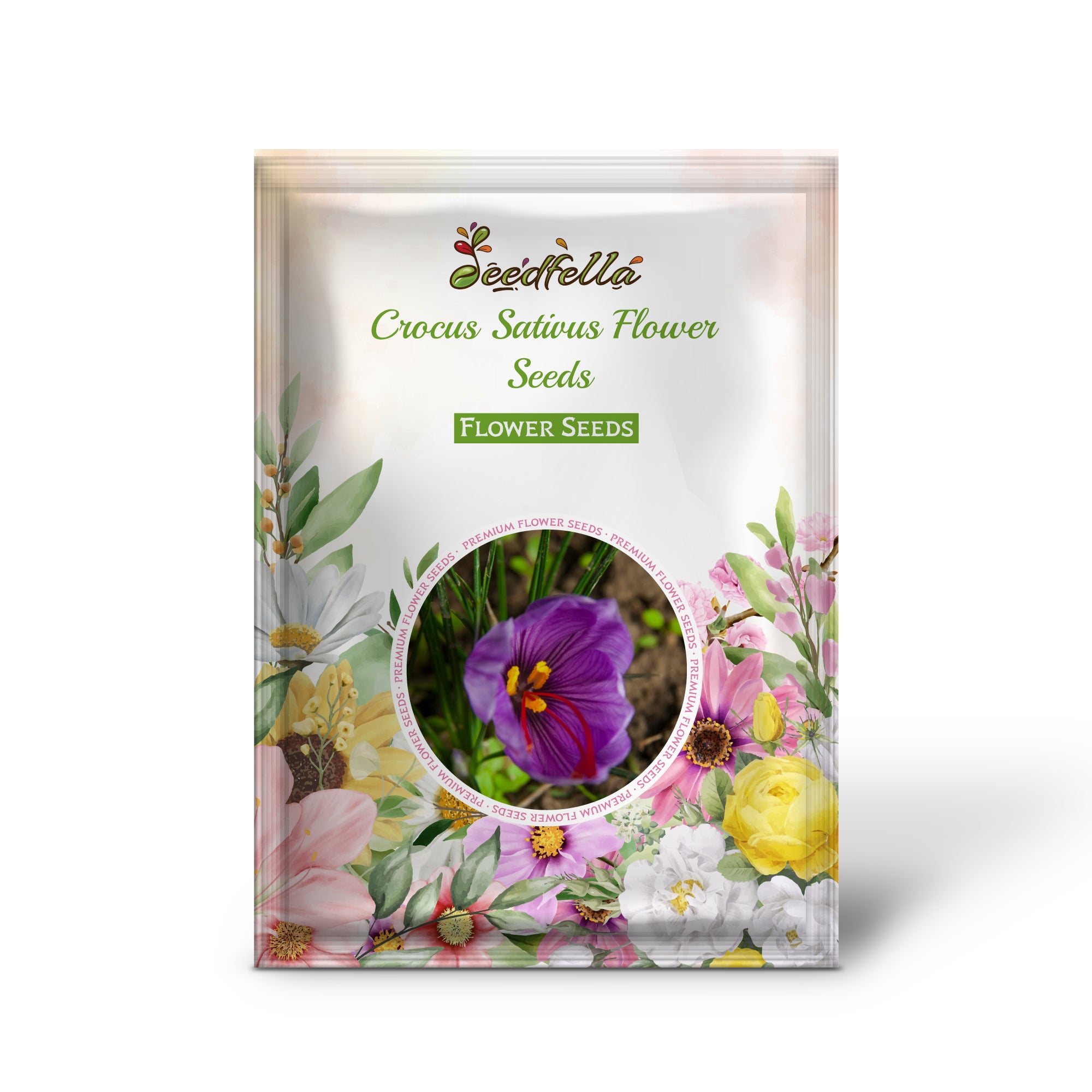 Crocus Sativus Flower Seeds for Easy Planting – Purple Blooms