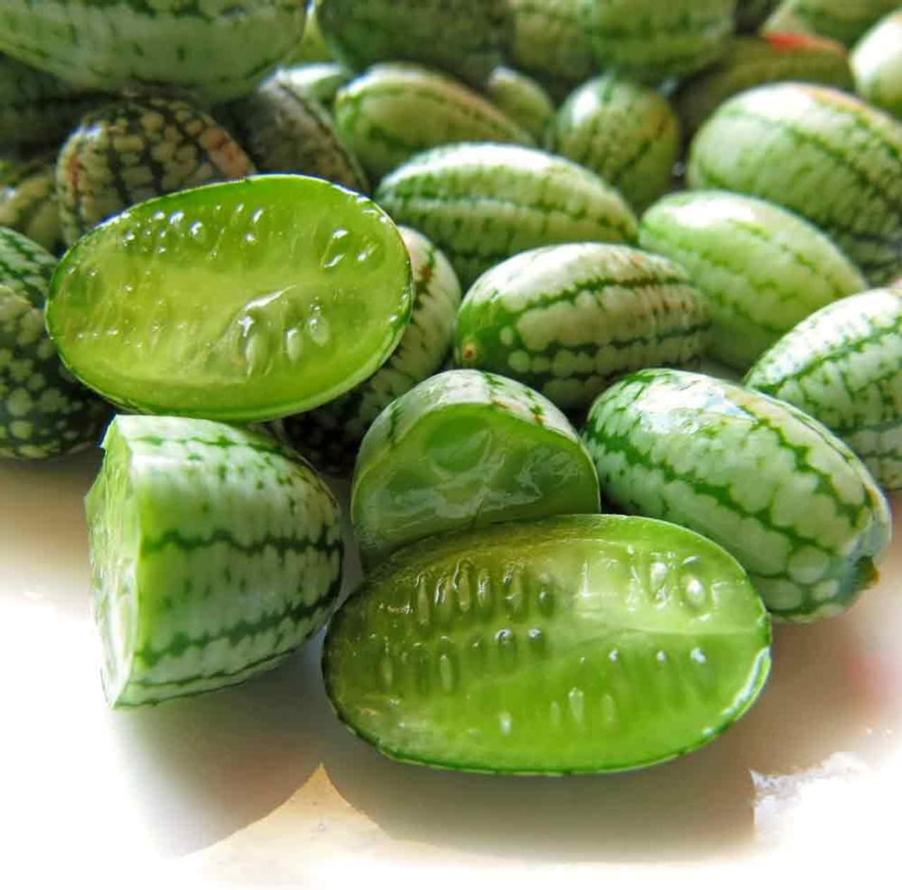 Cucamelon seeds for easy planting and mini melon harvests